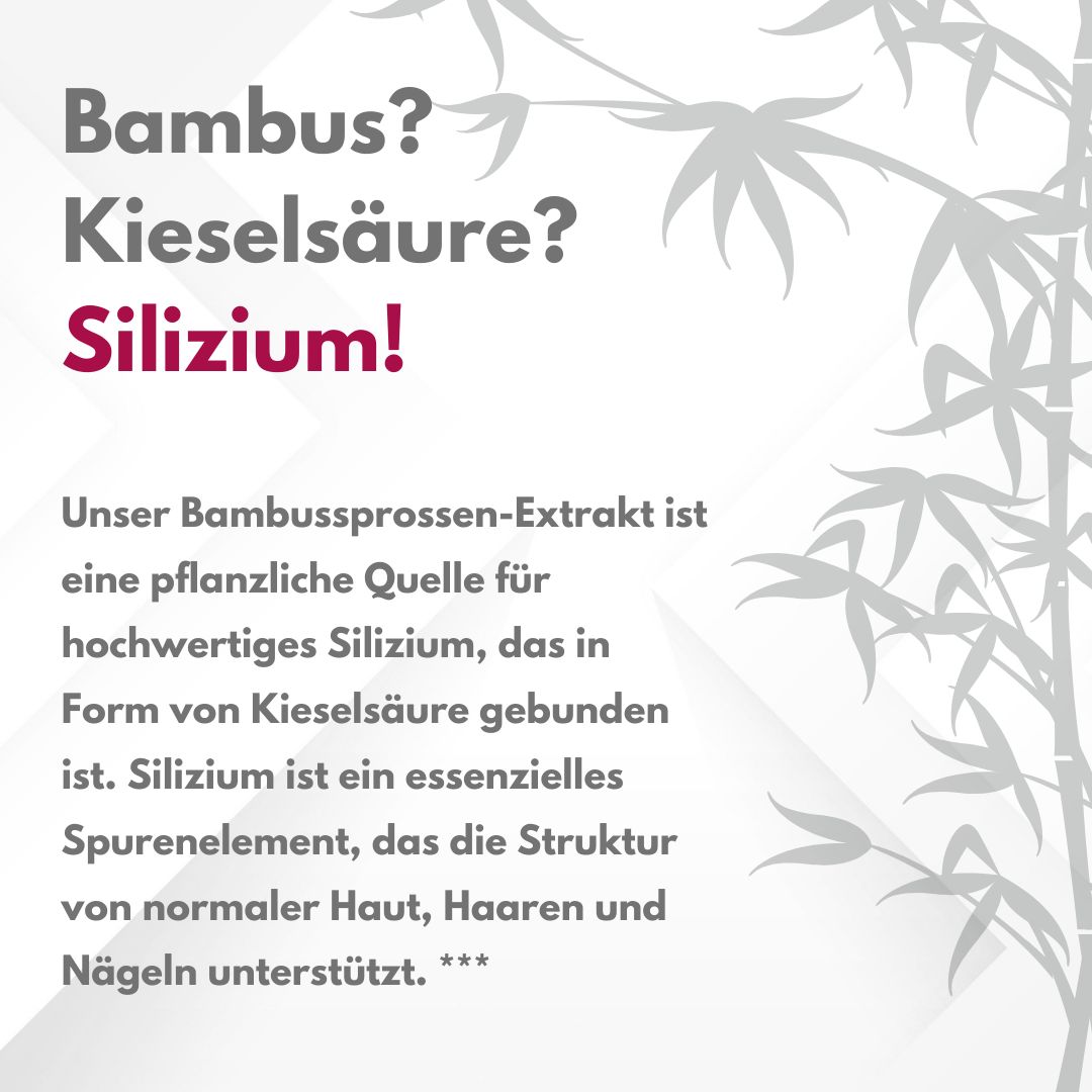 Text: Bambus? Kieselsäure? Silizium! Text über Bambus-Extrakt und Silizium. Hintergrund mit Bambus-Illustration.