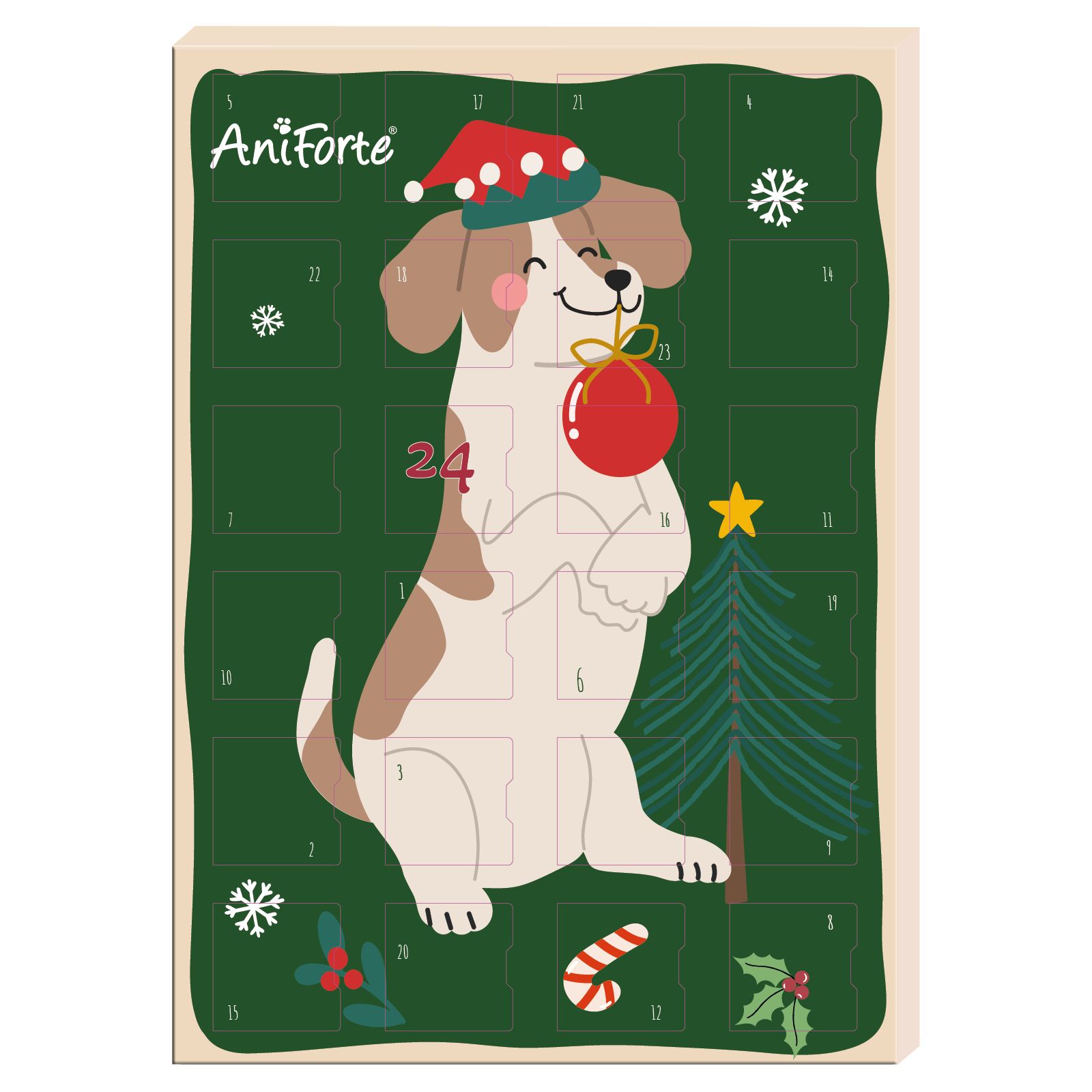 Ein Adventskalender für Katzen mit einem orangefarbenen Kater, der einen Weihnachtsmannhut und eine Girlande trägt.