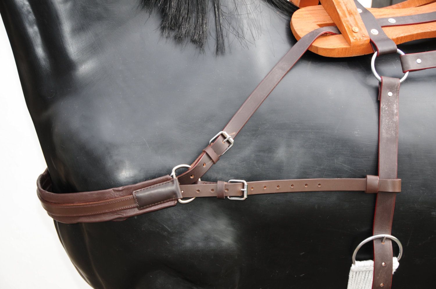 Detailansicht der Lederbegurtung eines Holz-Packsattels. Braune Lederriemen mit Schnallen. Auf schwarzem Pferd.