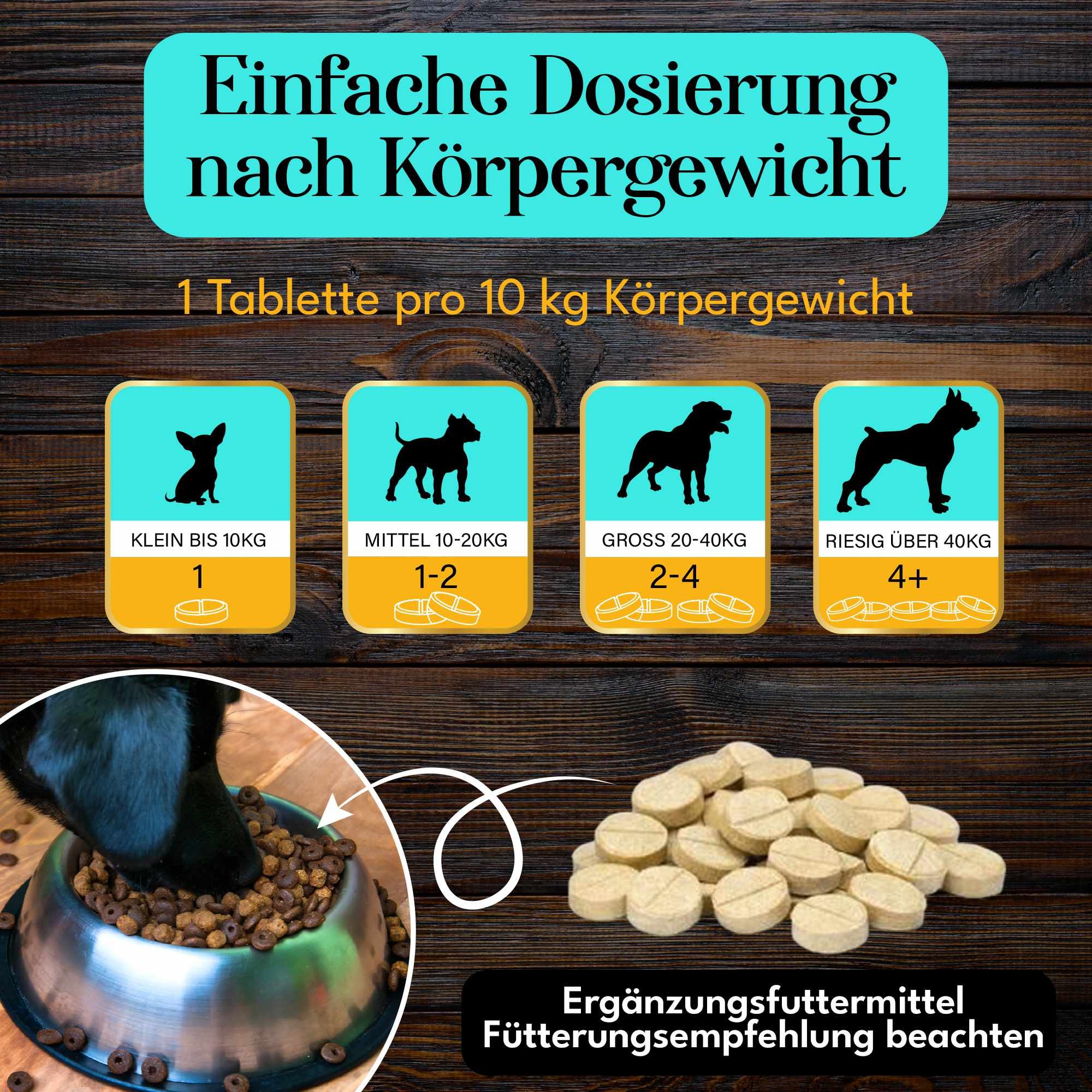Fütterungsempfehlung für Hunde. Aufschrift: Einfache Dosierung nach Körpergewicht. Tabletten und eine Futterschüssel. Kleine bis riesige Hunde.
