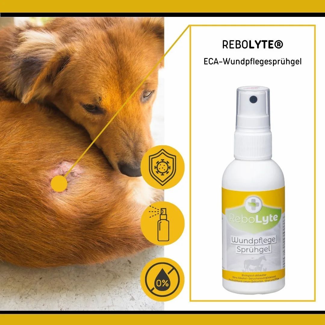 ReboLyte® ECA Sprühgel für die Wundpflege bei Haustieren, mit Darstellungen von Hundewunde und Sprühflasche.