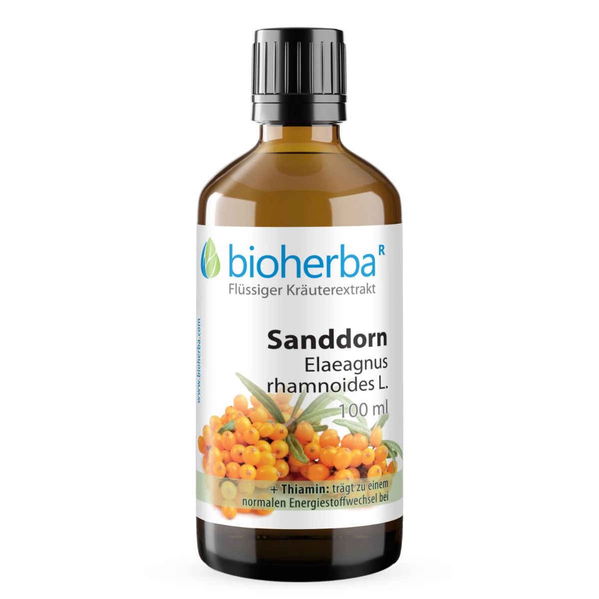 Braune Glasflasche mit schwarzem Deckel. Bioherba Sanddorn, Elaeagnus rhamnoides L. 100 ml. Produktabbildung mit Sanddornbeeren.