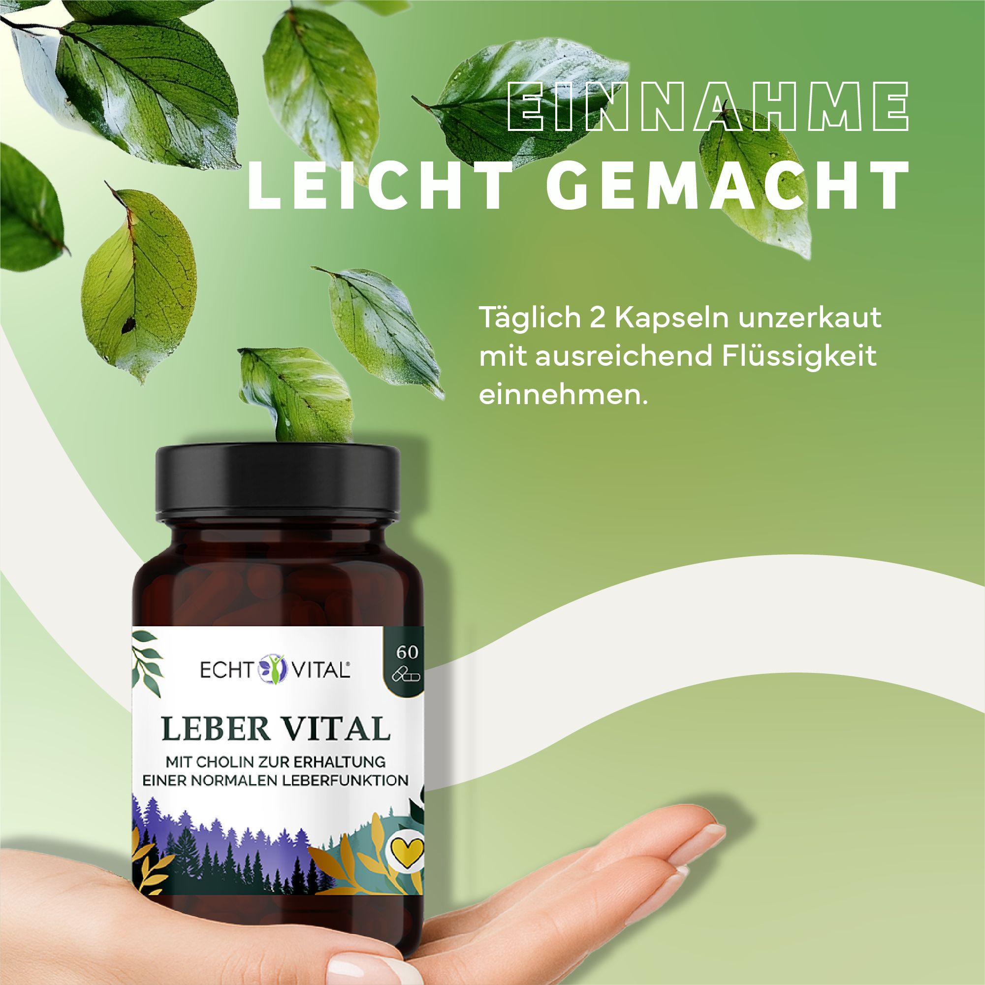 Braune Flasche Echt Vital Leber Vital, 60 Kapseln. Hand hält Flasche. Text: Täglich 2 Kapseln unzerkaut mit Flüssigkeit einnehmen.