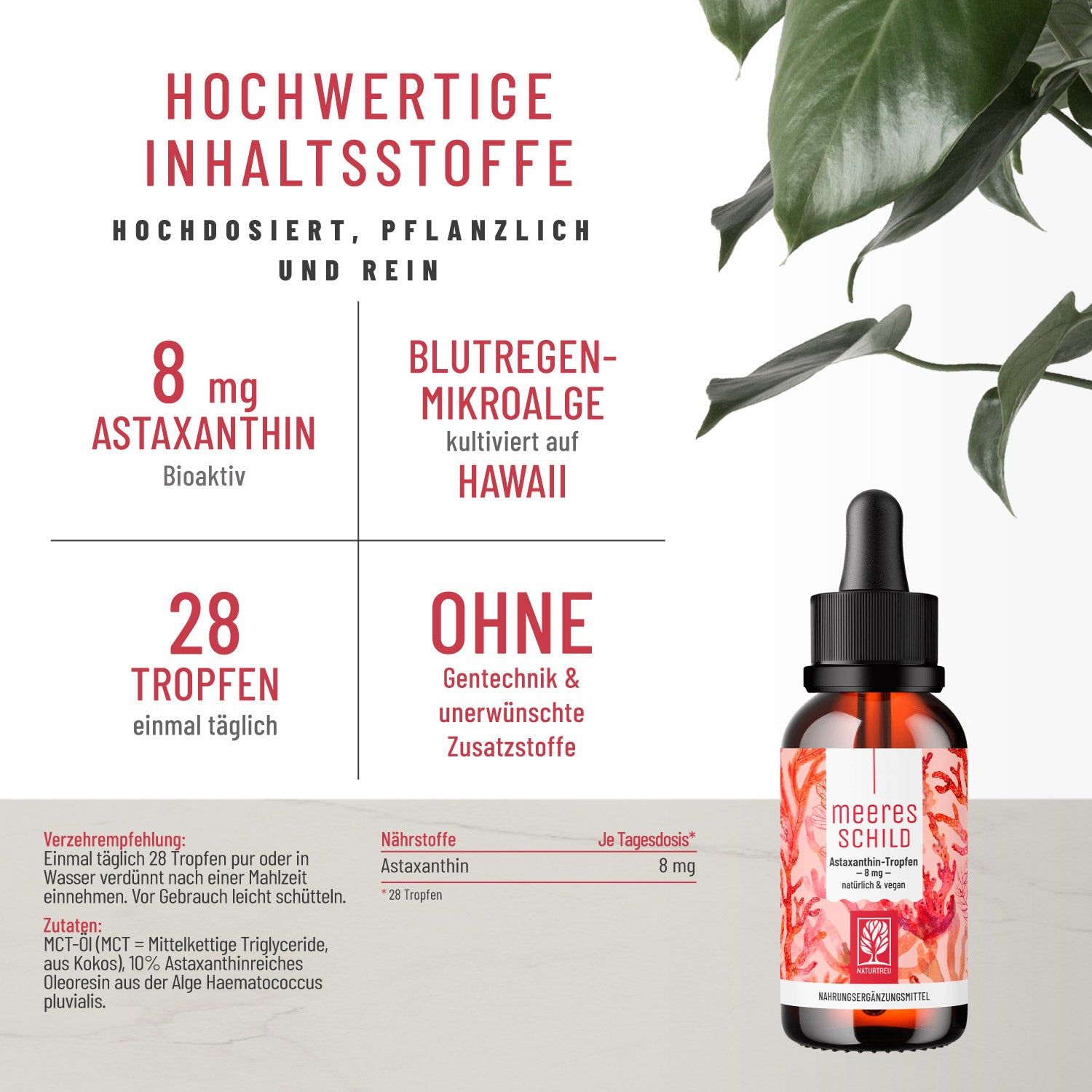 Braune Glasflasche mit Tropfer neben Text. Text: 8 mg Astaxanthin, 28 Tropfen, ohne Gentechnik. Flasche mit Aufschrift: Meeres Schild, Astaxanthin-Tropfen.