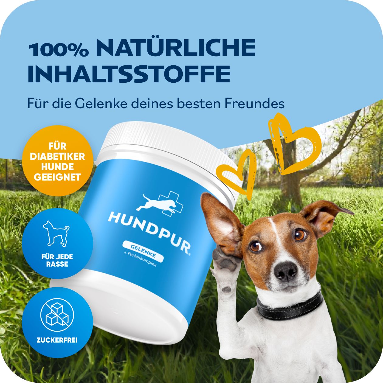Hund mit Dose "HUNDPUR". Text: "Gelenke + Perlenkomplex", "Für Diabetiker Hunde geeignet", "Für jede Rasse", "Zuckerfrei".