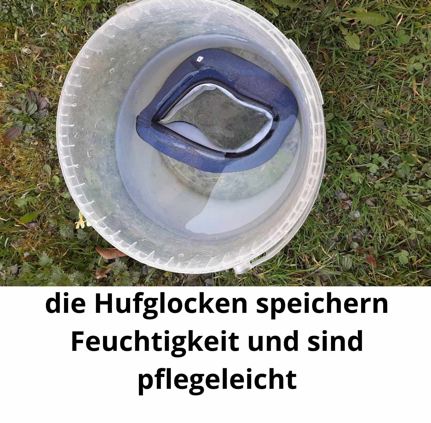 Hufglocke in einem Eimer Wasser. Text: Hufglocken speichern Feuchtigkeit und sind pflegeleicht.