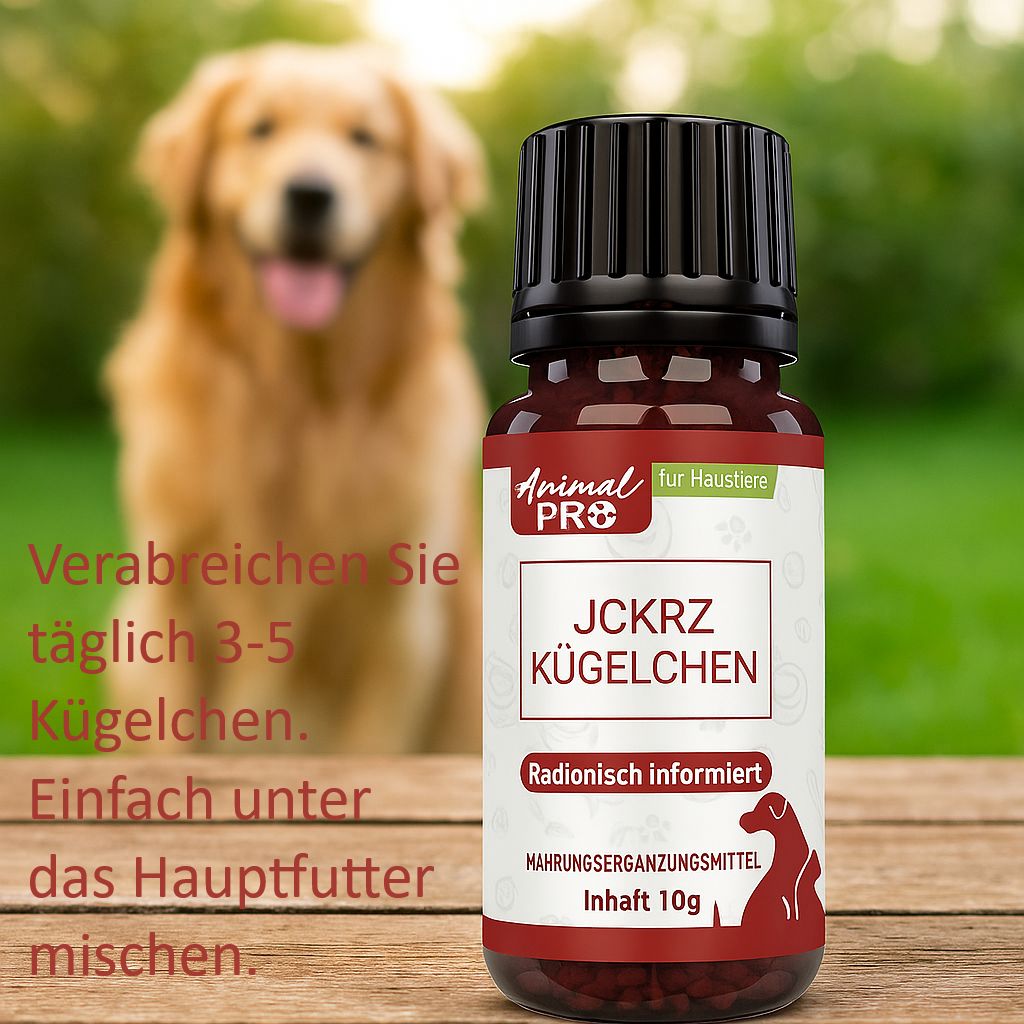 Braune Glasflasche mit schwarzem Deckel. Aufschrift: Animal Pro, JCKRZ Kügelchen, Nahrungsergänzungsmittel, Inhalt 10g. Im Hintergrund: Hund.