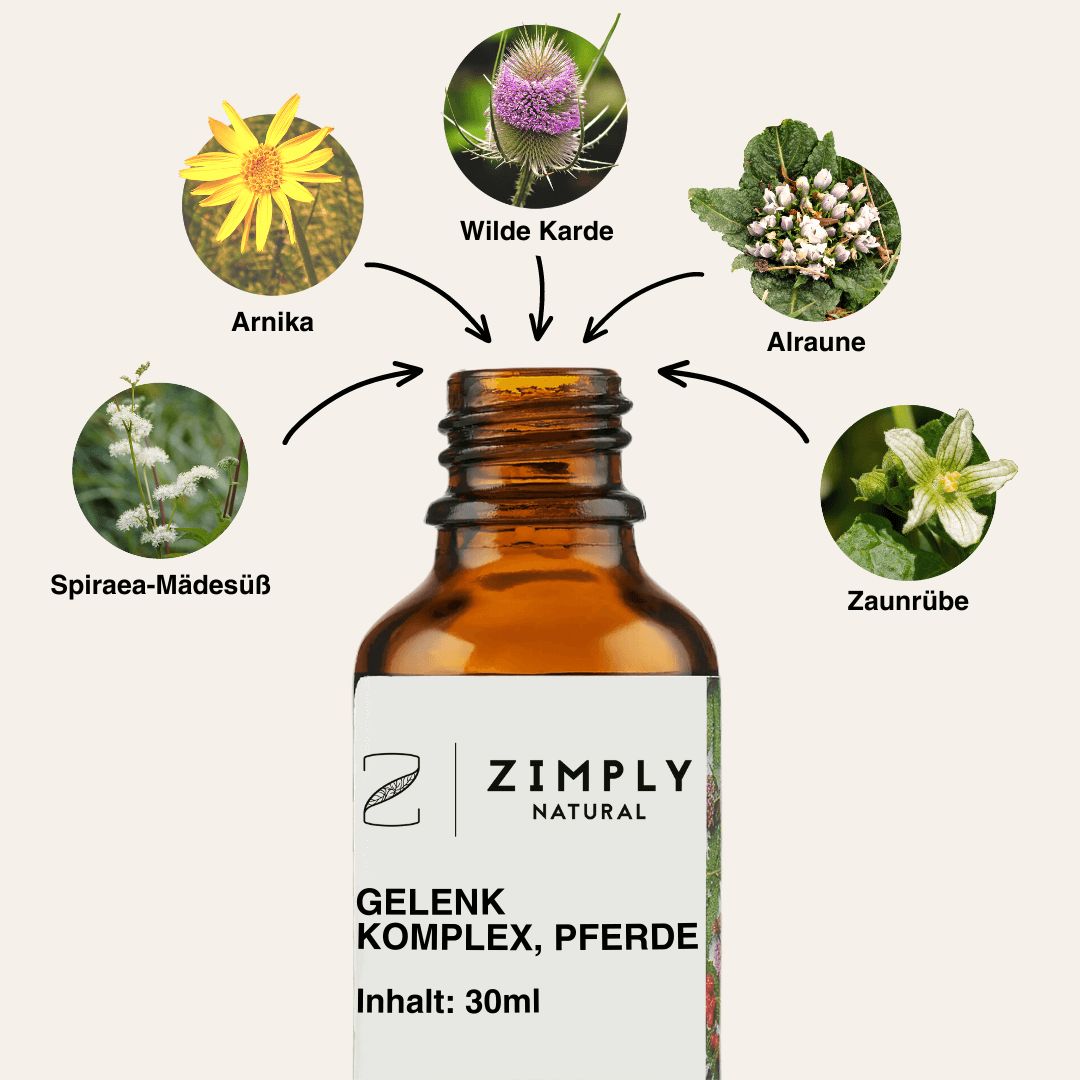 ZIMPLY NATURAL Gelenkentzündungen Komplex Spray für Pferde