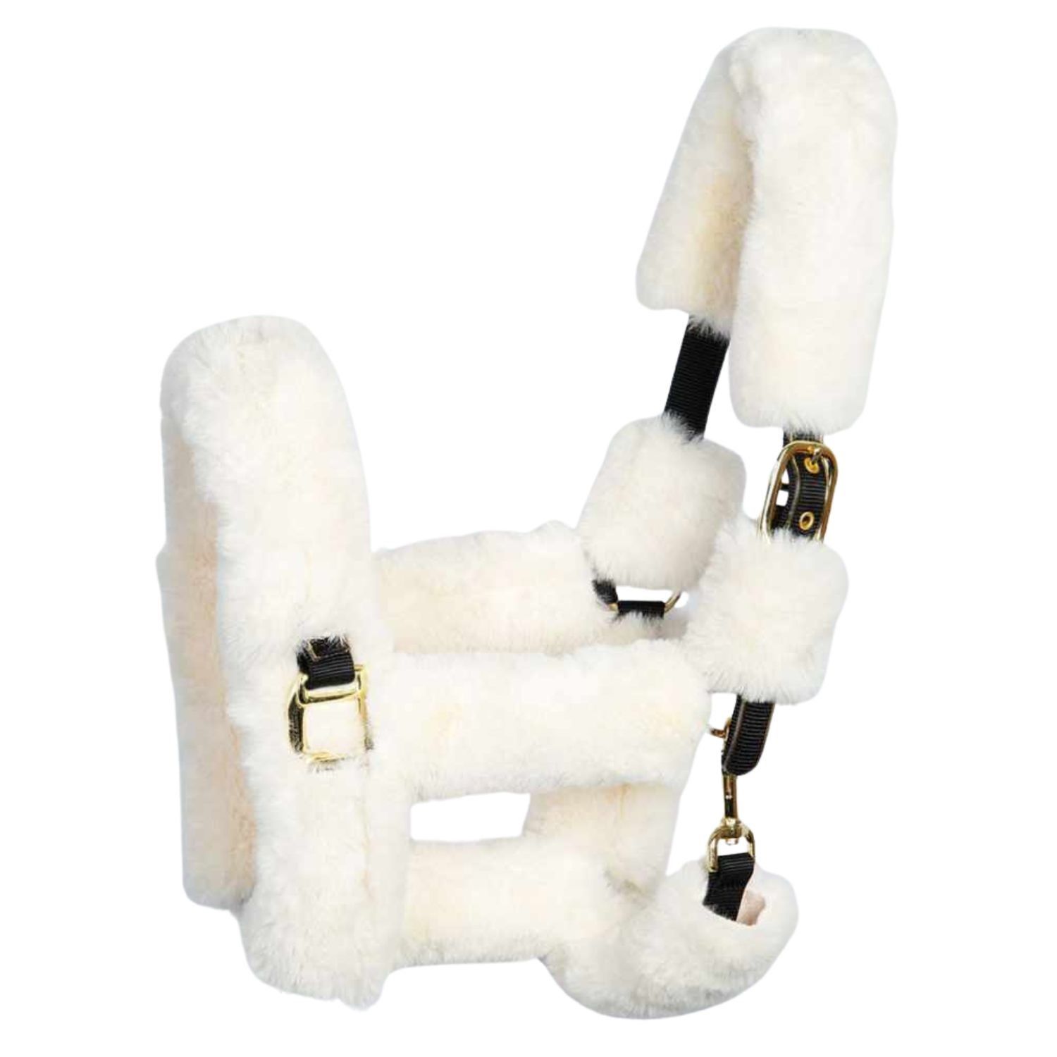 Weißer Halfterschutzbezug mit Fell. Schwarze Lederriemen und goldfarbene Schnallen. Für Pferde.