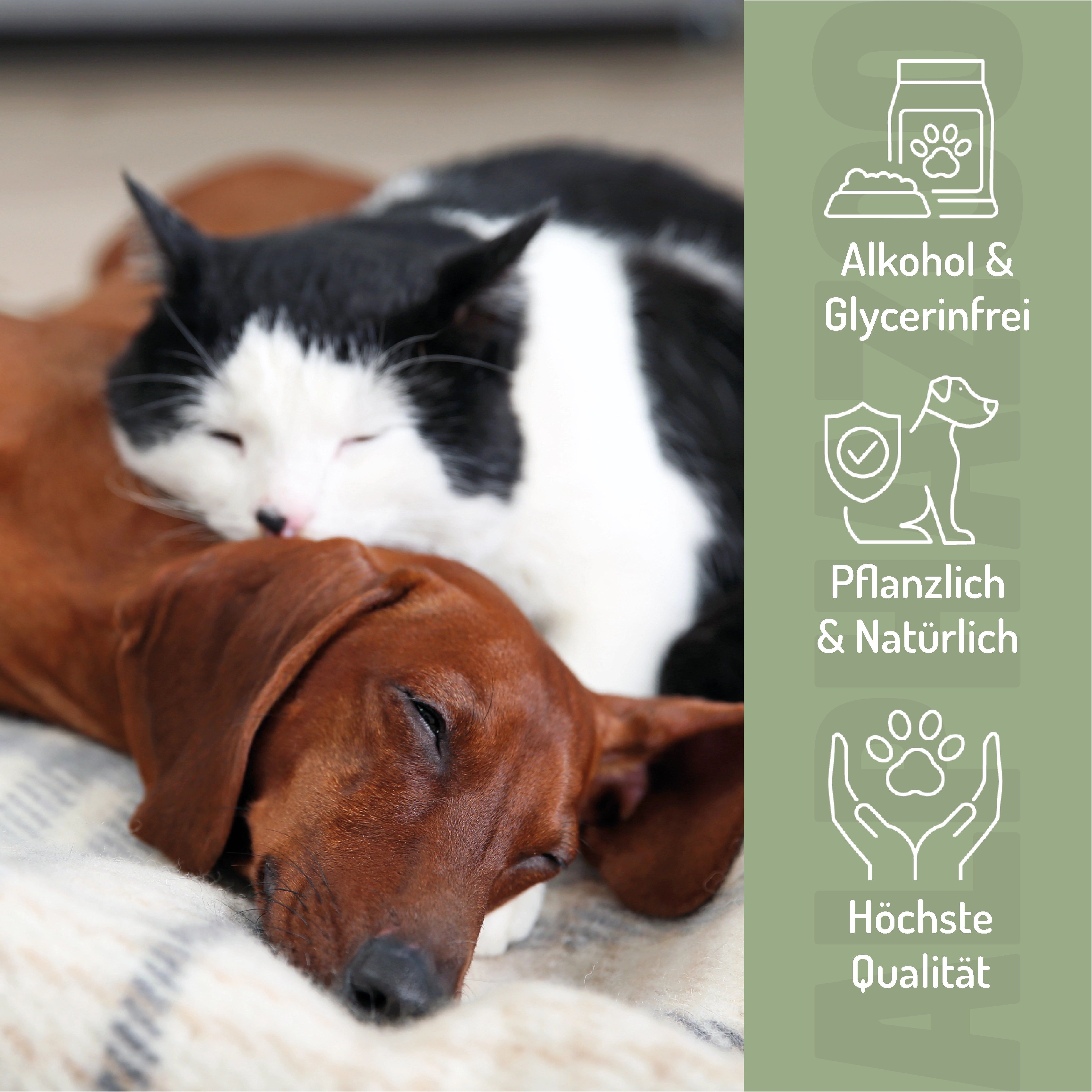 Katze und Dackel schlafen zusammen. Text: Alkohol & Glycerinfrei. Pflanzlich & Natürlich. Höchste Qualität.