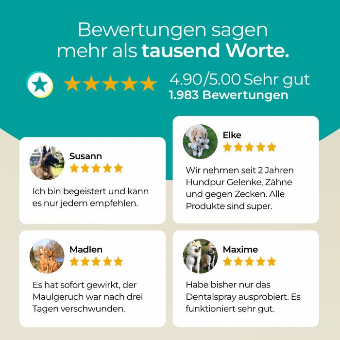 Bewertungen mit 5 Sternen. Zitate von Kunden. Text: Hundpur Gelenke, Zähne und gegen Zecken. Bewertung: 4.90/5.00. 1.983 Bewertungen.
