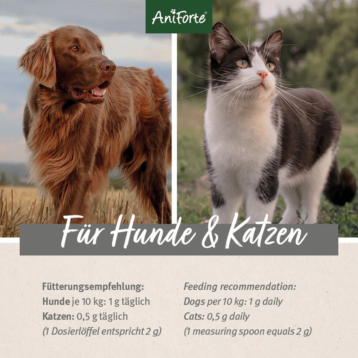 Hund und Katze. Text: Für Hunde & Katzen. Fütterungsempfehlung: Hunde je 10 kg: 1 g täglich, Katzen: 0,5 g täglich. AniForte Logo.
