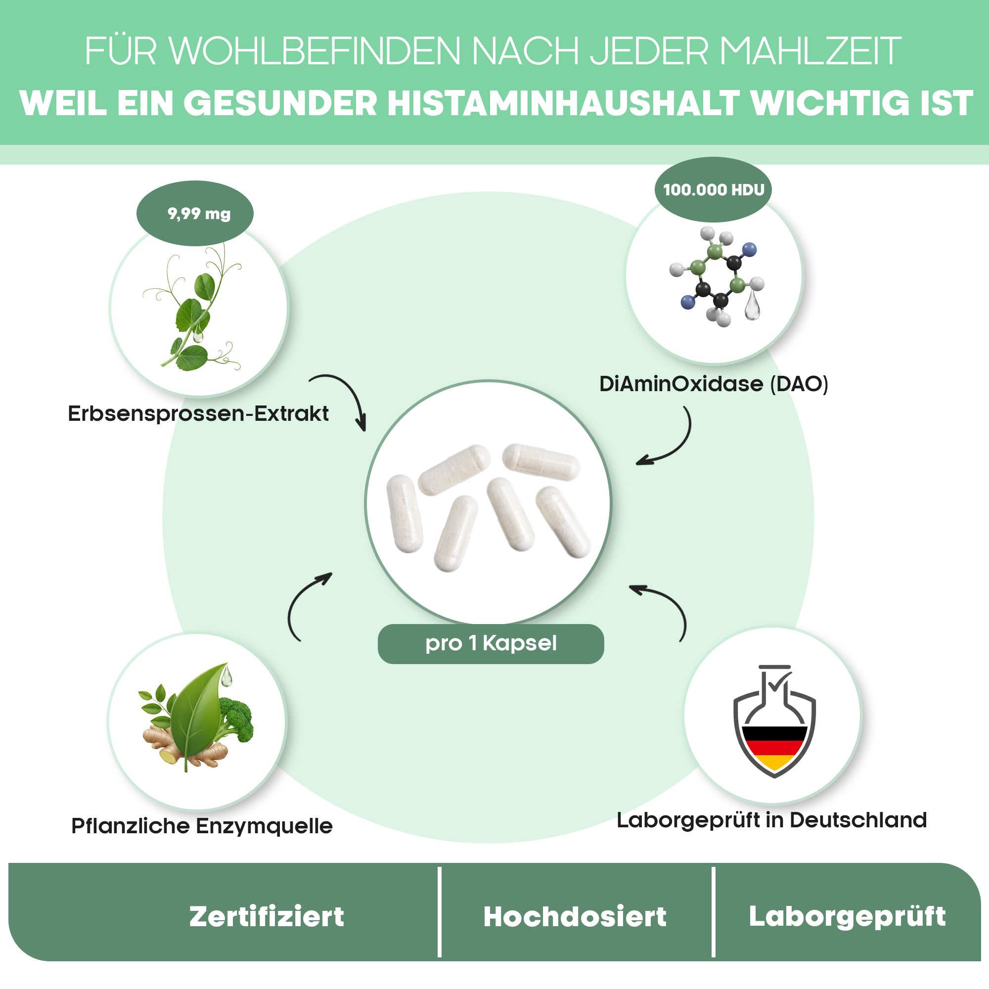 Inhaltsstoffe und Wirkung von DAO Kapseln: Erbsensprossen-Extrakt, DiAminOxidase, pflanzliche Enzymquelle.