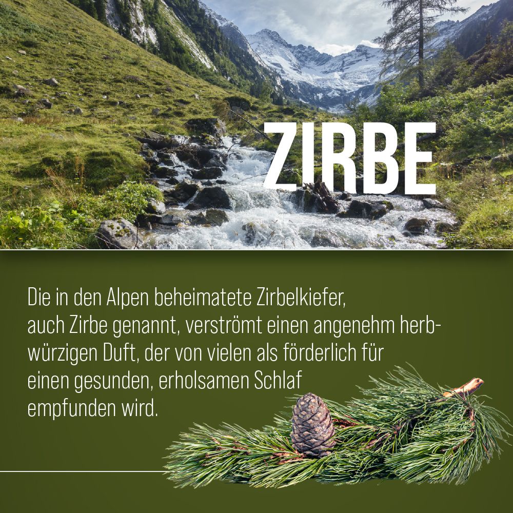 Zirbe-Text vor Berglandschaft. Text: Zirbelkiefer verströmt Duft für gesunden Schlaf. Kiefernzweig mit Zapfen.
