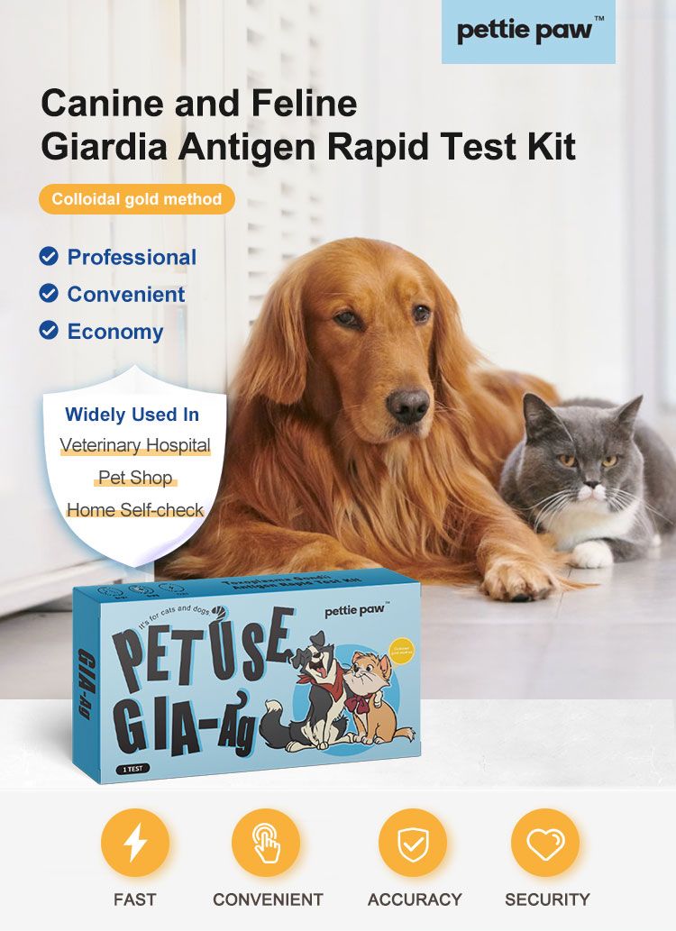Verpackung für den Giardia-Antigen-Schnelltest für Hunde und Katzen. Mit Hund und Katze, Text: PET USE GIA-Ag, pette paw.
