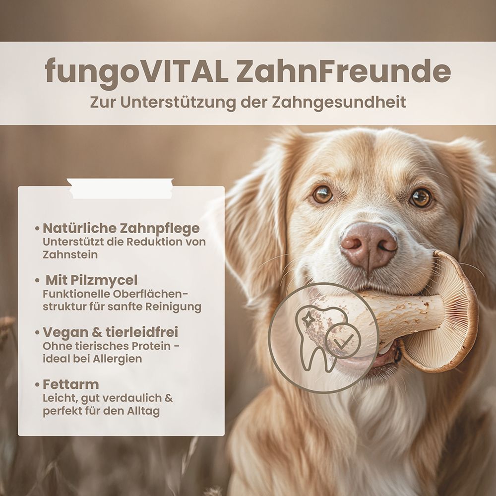 Hund mit Pilz im Maul. Text: fungoVITAL ZahnFreunde. Natürliche Zahnpflege, reduziert Zahnstein. Vegan & tierleidfrei. Fettarm.