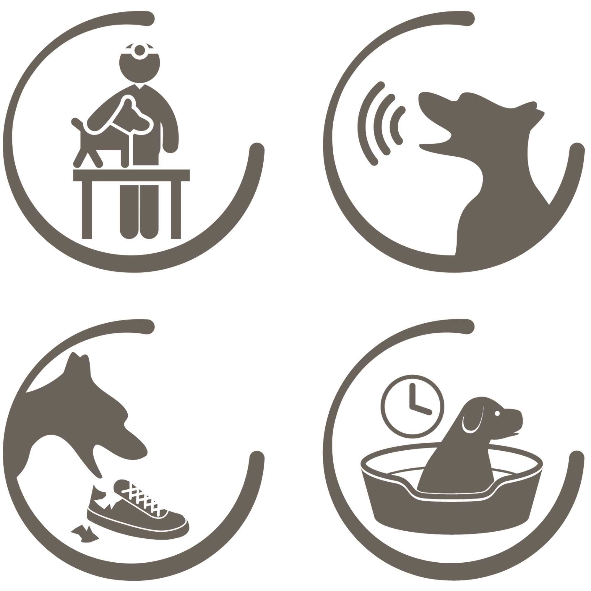 Vier runde Piktogramme. Hunde in verschiedenen Situationen: beim Tierarzt, bellend, zerstörerisch, im Ruhekorb.