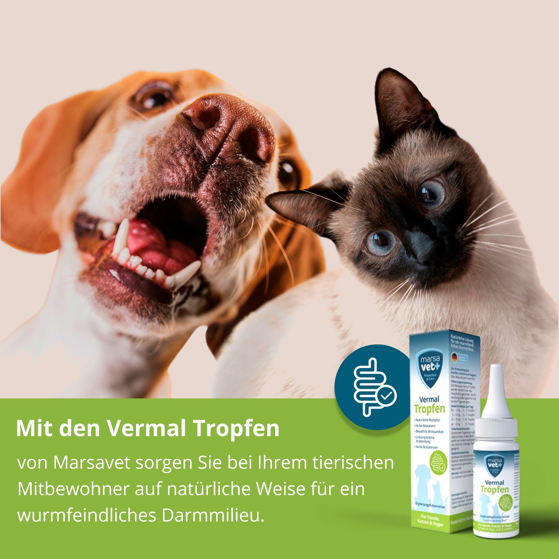 Hund und Katze schauen in die Kamera. Produktverpackung und Flasche im Hintergrund. Text über dem Darm.