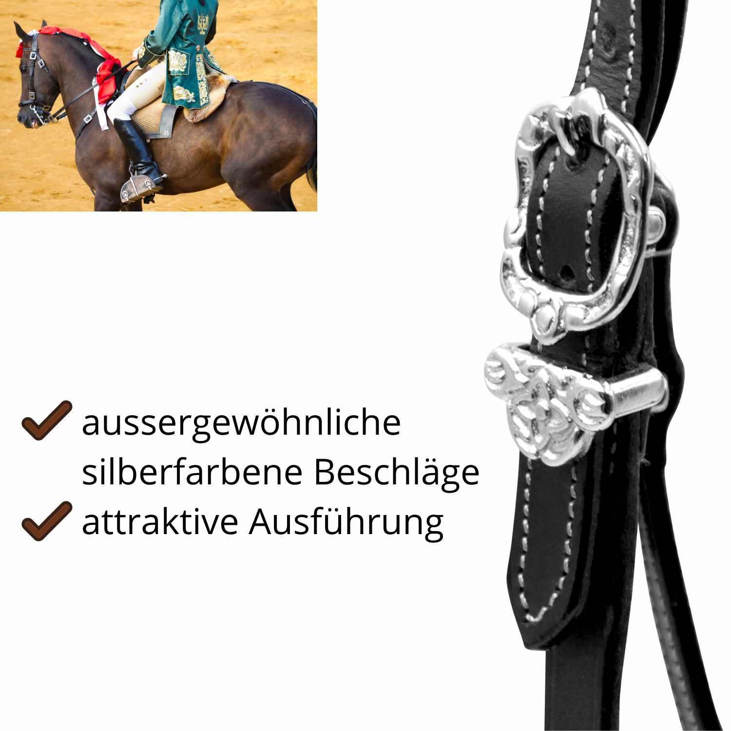 Schwarzer Zaum mit silberfarbenen Beschlägen. Detailansicht mit Schnalle. Hintergrund: Reiter auf Pferd.