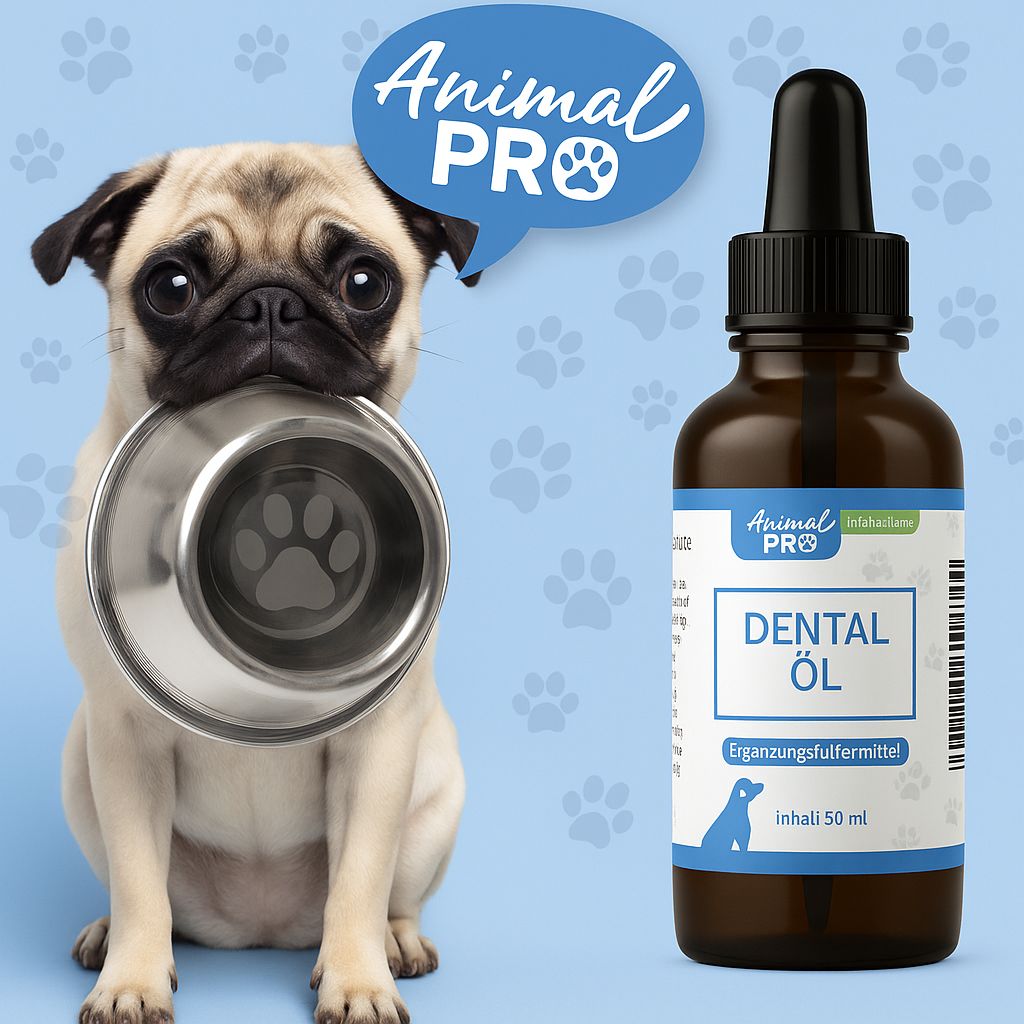 Braune Glasflasche mit schwarzem Tropfer. Etikett mit "Animal Pro" und "Dental Öl". Mops mit Napf.