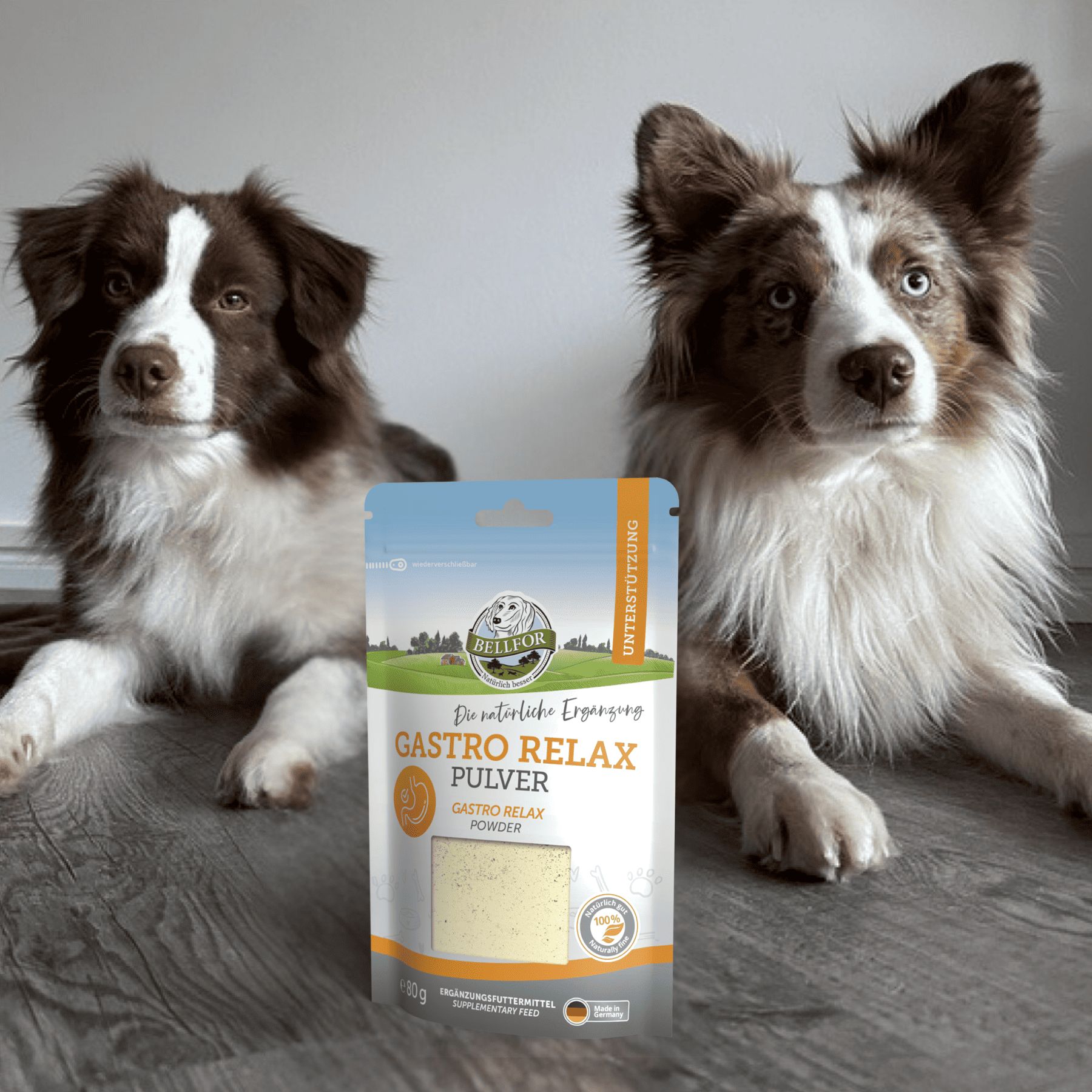 Zwei Hunde neben einer Bellfor Gastro Relax Pulver-Verpackung. Produktname und Logo deutlich sichtbar.