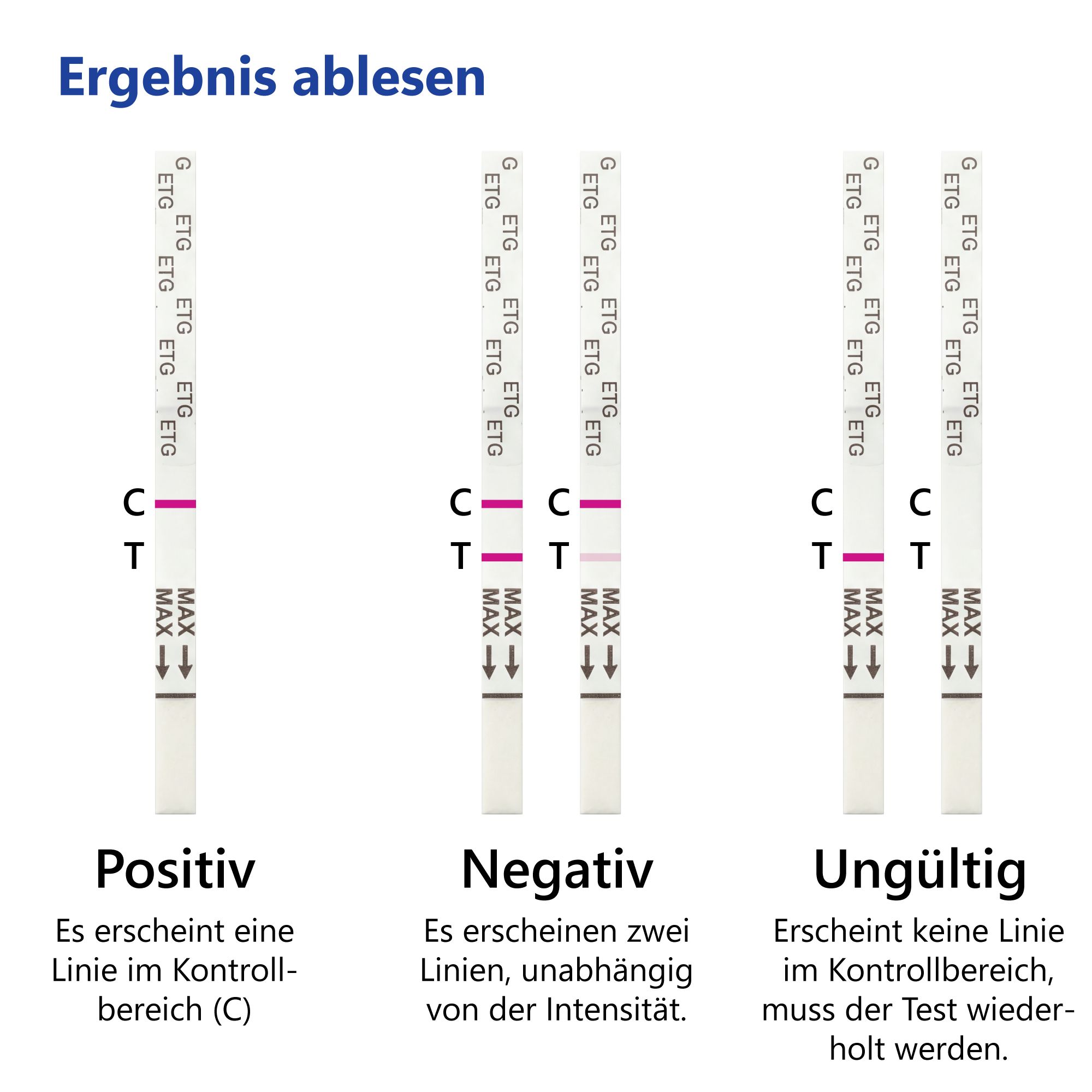 Drei Teststreifen mit Ergebnissen: positiv, negativ, ungültig. Markierungen C und T. Hintergrund: weiß.