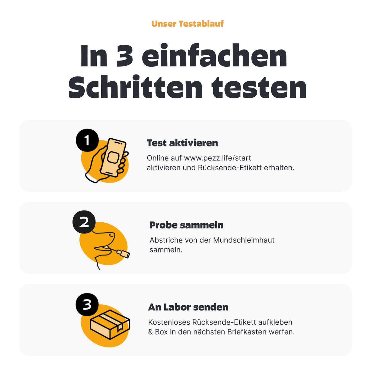 Infografik: 3 Schritte zum Testen. 1. Test aktivieren. 2. Probe sammeln. 3. An Labor senden.