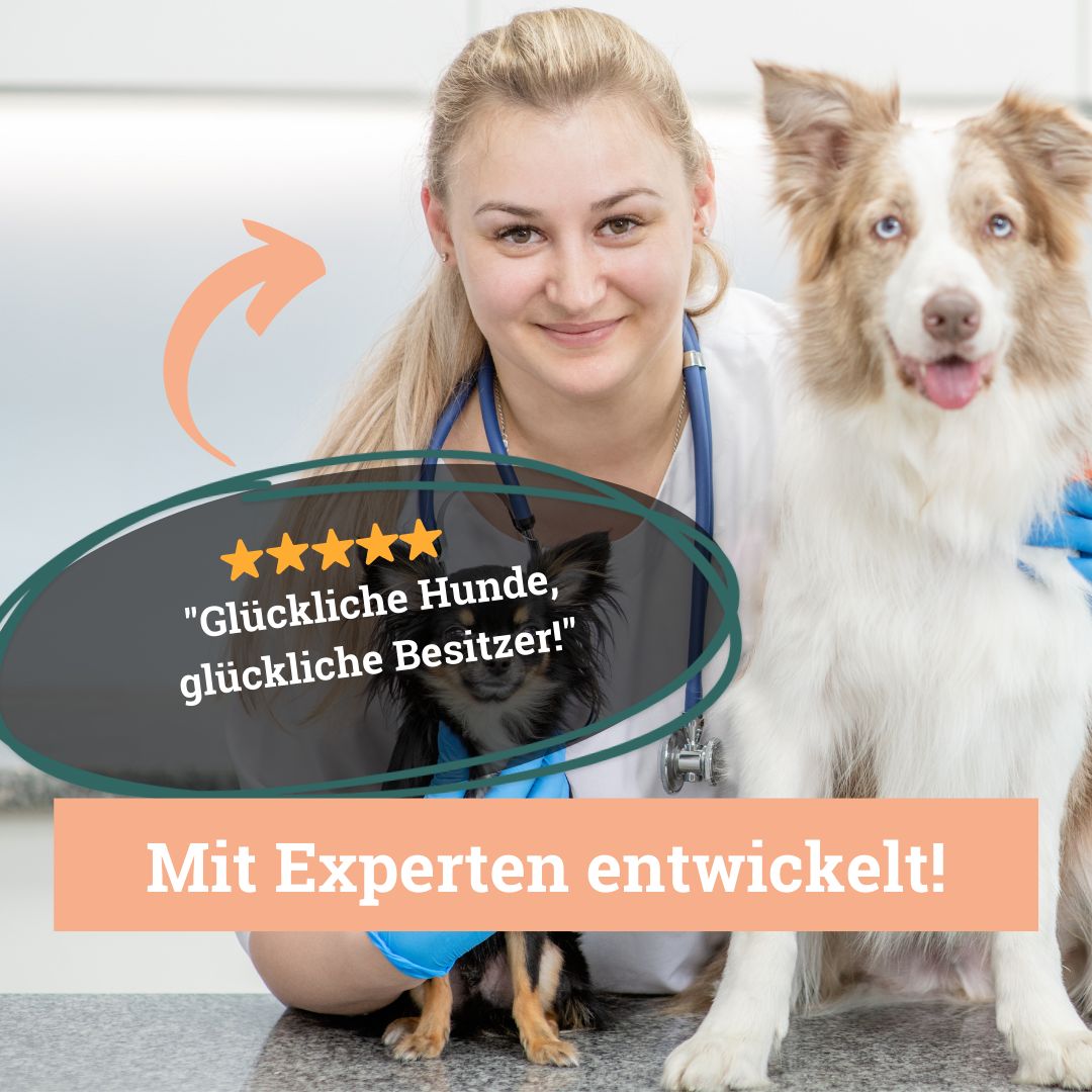 BeG Buddy hypoallergenes, getreidefreies Insekten Trockenfutter für Hunde