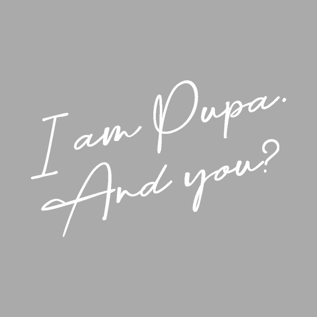 Pupa Milano - BB Cream + Anti