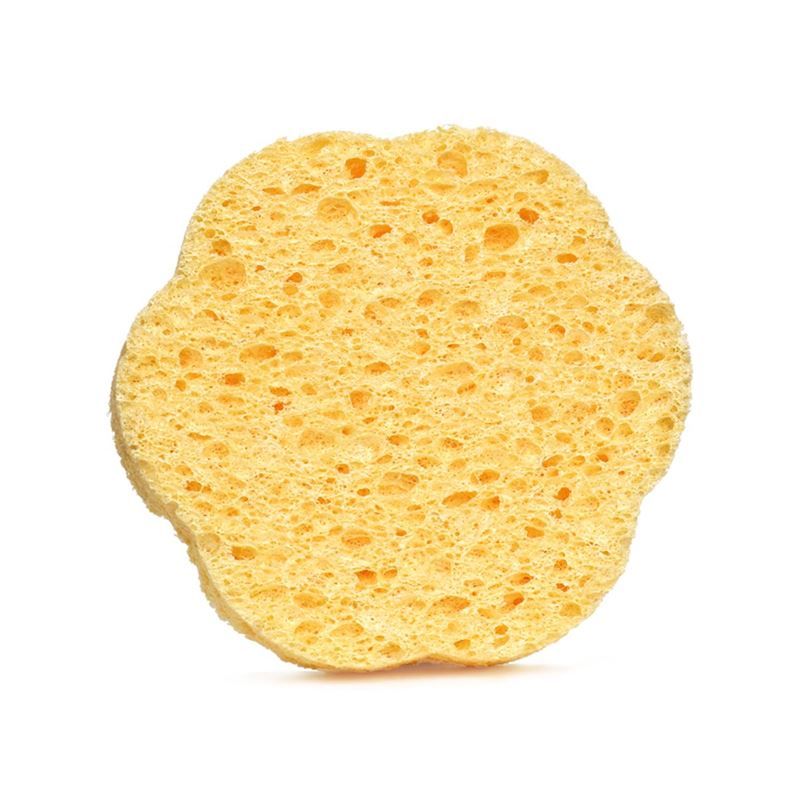 Gelber, blütenförmiger Gesichtsschwamm. Schwamm mit poröser Oberfläche.