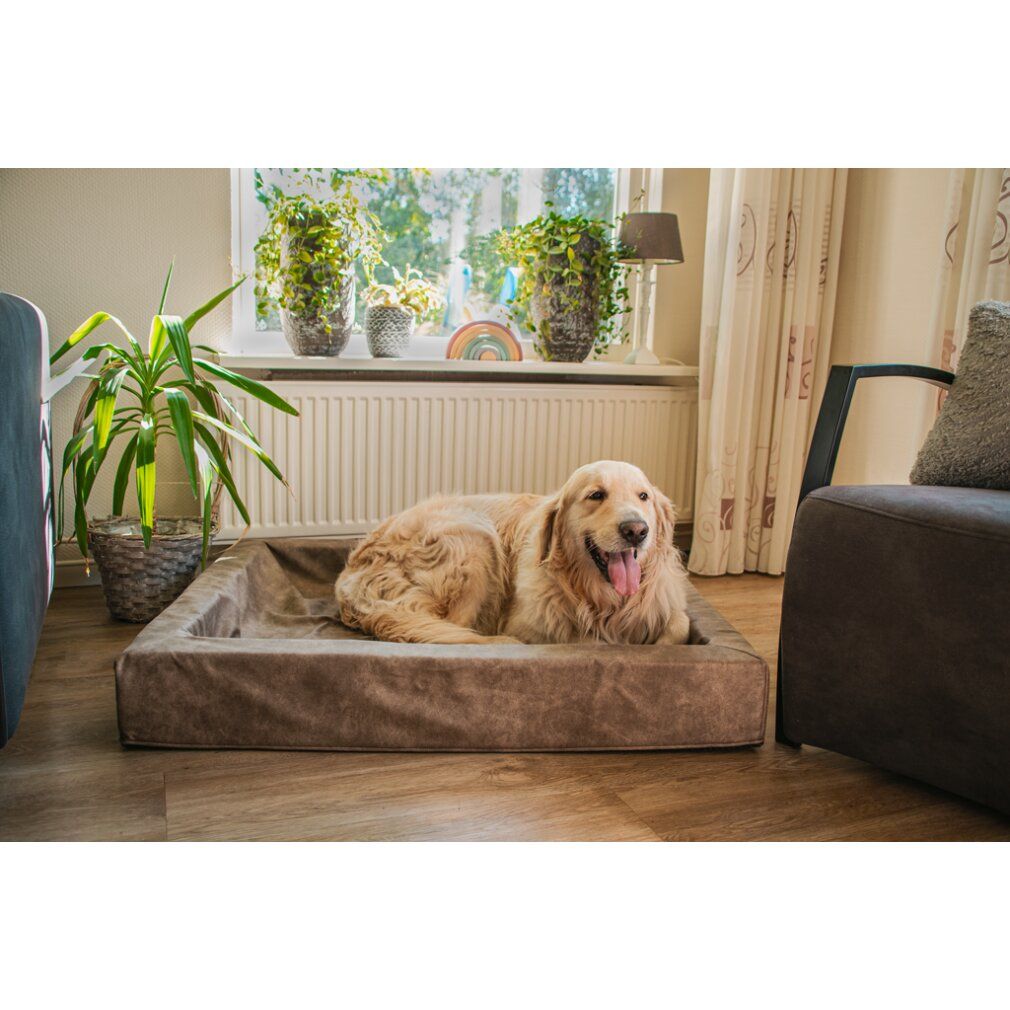 Let's Sleep Comfy Cushion Hundekorb l Anthrazit