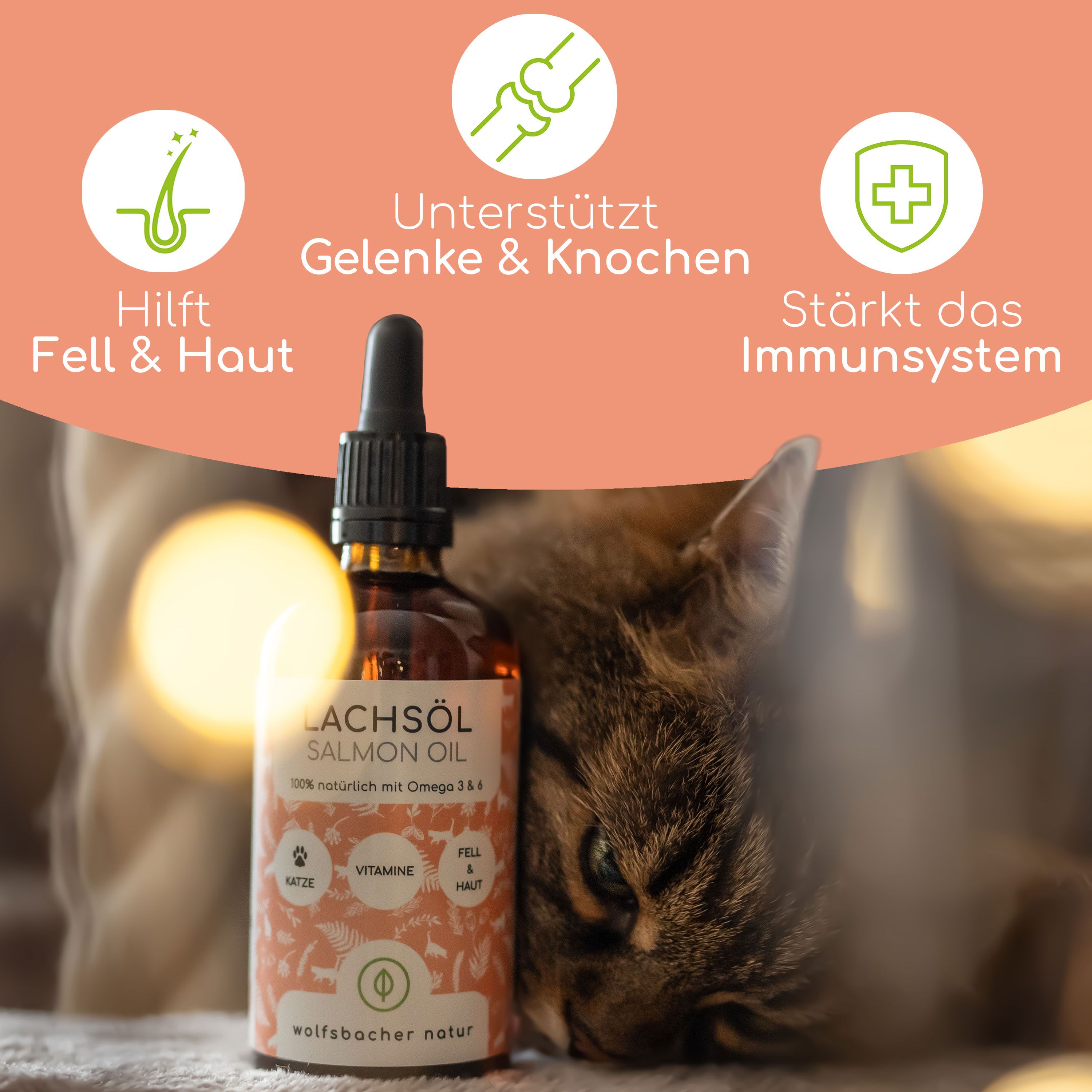 Lachsöl-Flasche neben Katze. Text: Hilft Fell & Haut, Unterstützt Gelenke & Knochen, Stärkt das Immunsystem. Aufschrift: Lachsöl, 100% natürlich.