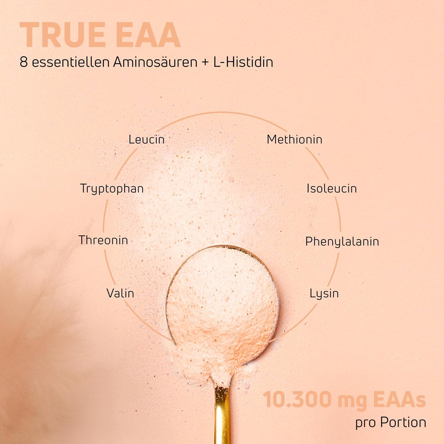 Löffel mit Pulver, umgeben von Aminosäuren-Namen. Text: TRUE EAA, 10.300 mg EAAs pro Portion. 8 essentielle Aminosäuren + L-Histidin.