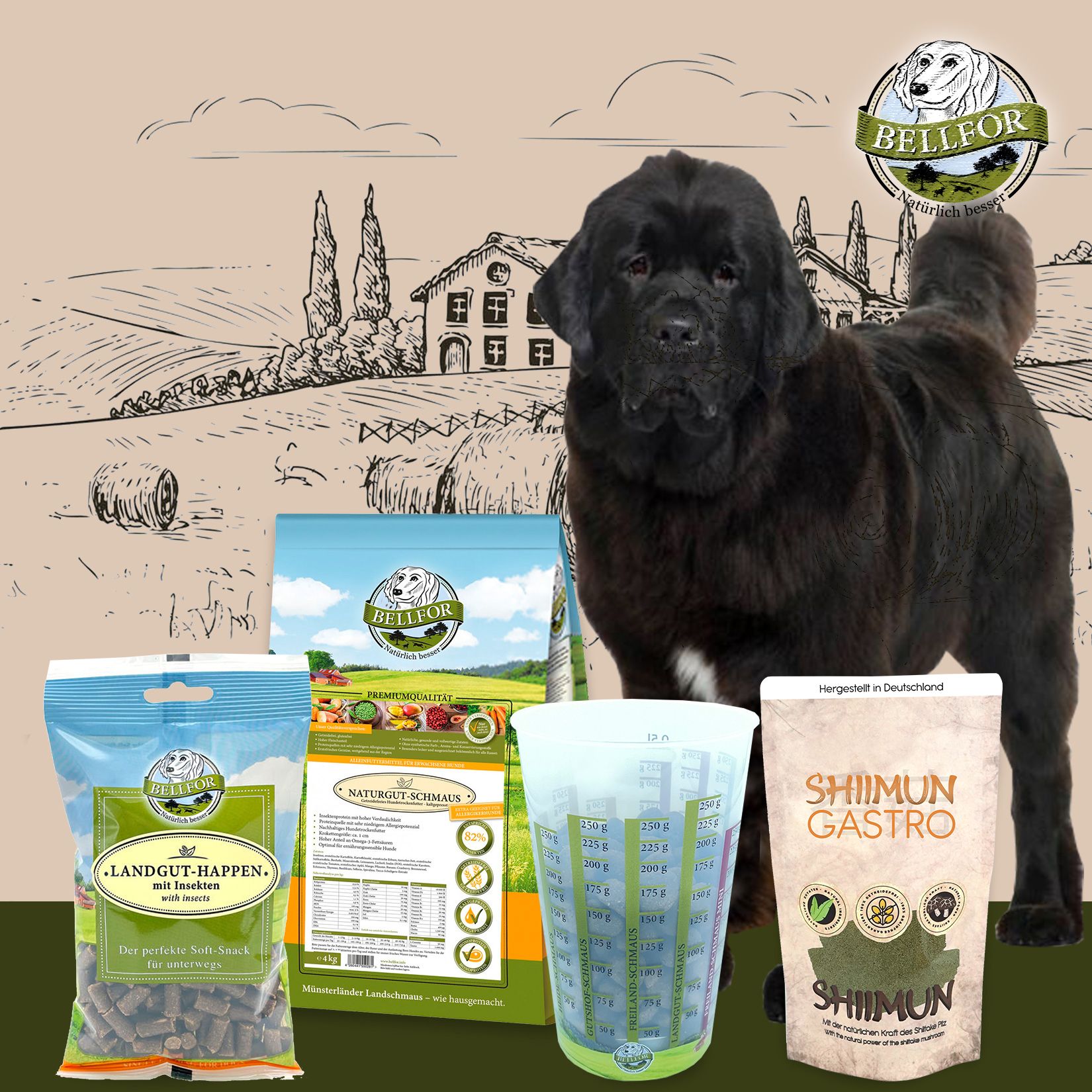 Bellfor-Produkte mit Hund: Trockenfutter, Messbecher, Kräuter. Hund im Hintergrund. Grün-weiß Verpackung, Logo. Kaltgepresst-Siegel.
