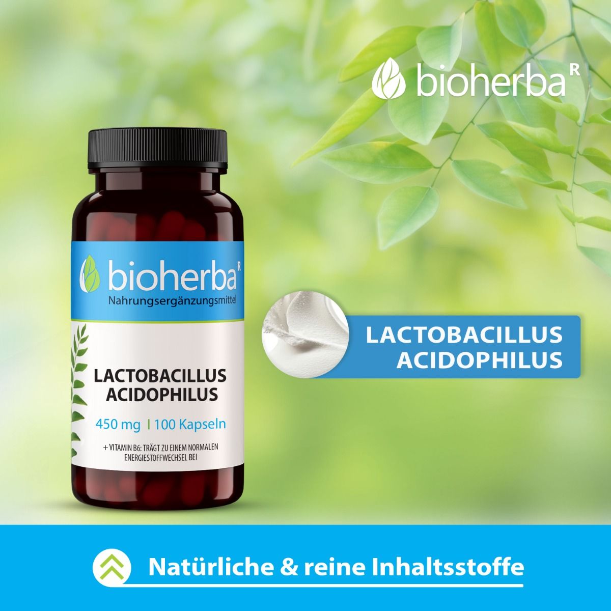 Braune Flasche mit schwarzen Deckel. Aufschrift: Bioherba, Lactobacillus Acidophilus, 450 mg, 100 Kapseln. Hintergrund mit grünen Blättern.