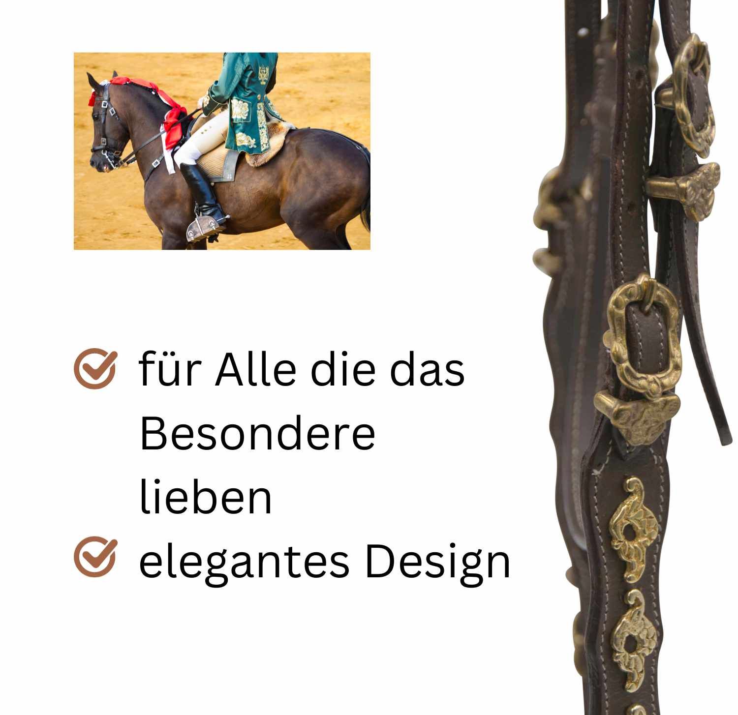 Braune Trense mit goldenen Beschlägen. Text: für Alle die das Besondere lieben, elegantes Design.