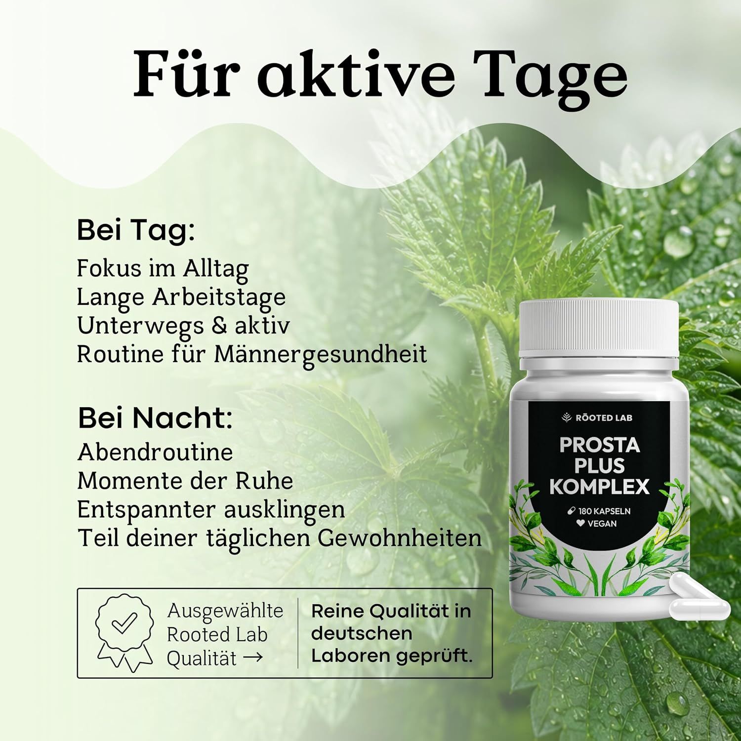 Prostata Kapseln - Prosta Plus Komplex mit Sägepalme, Kürbiskern & Brennnessel