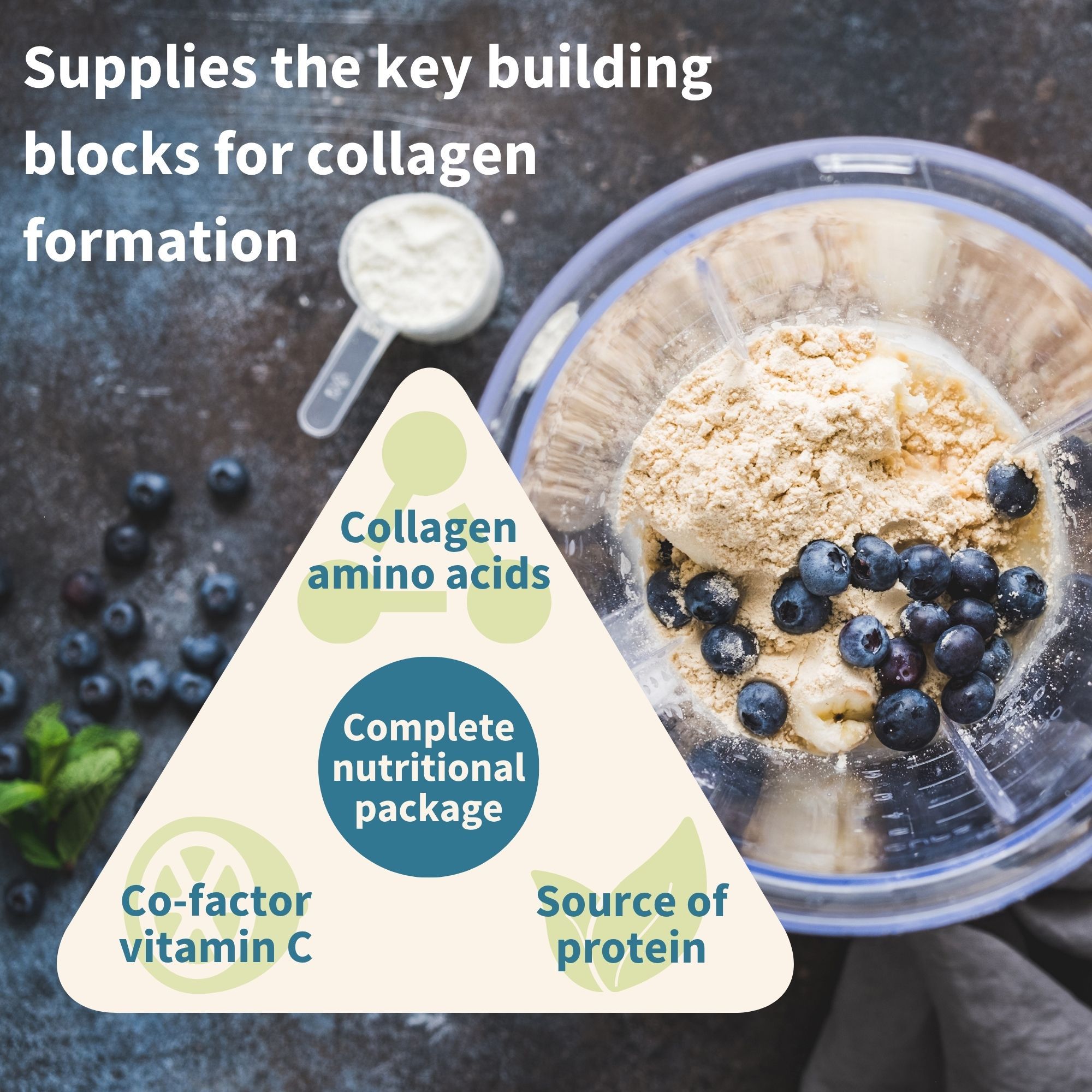 Mixer mit Zutaten für Kollagenbildung: Pulver, Beeren, Vitamin C, Aminosäuren.