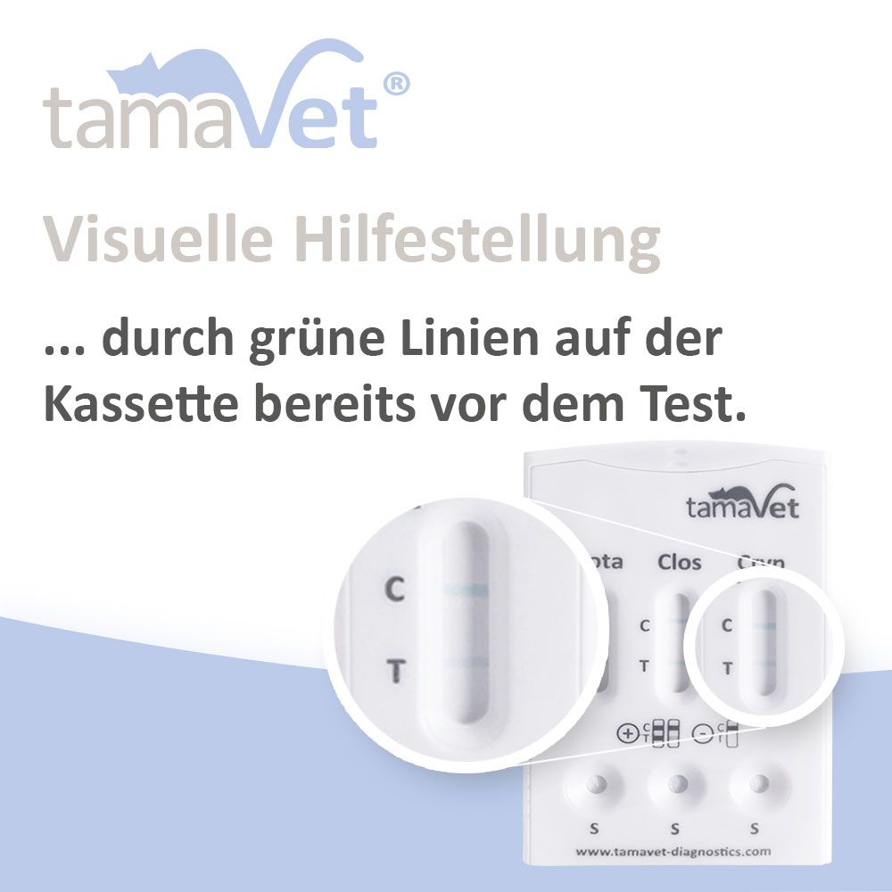 Testkassette mit grünen Linien. Text: Visuelle Hilfestellung durch grüne Linien vor dem Test.