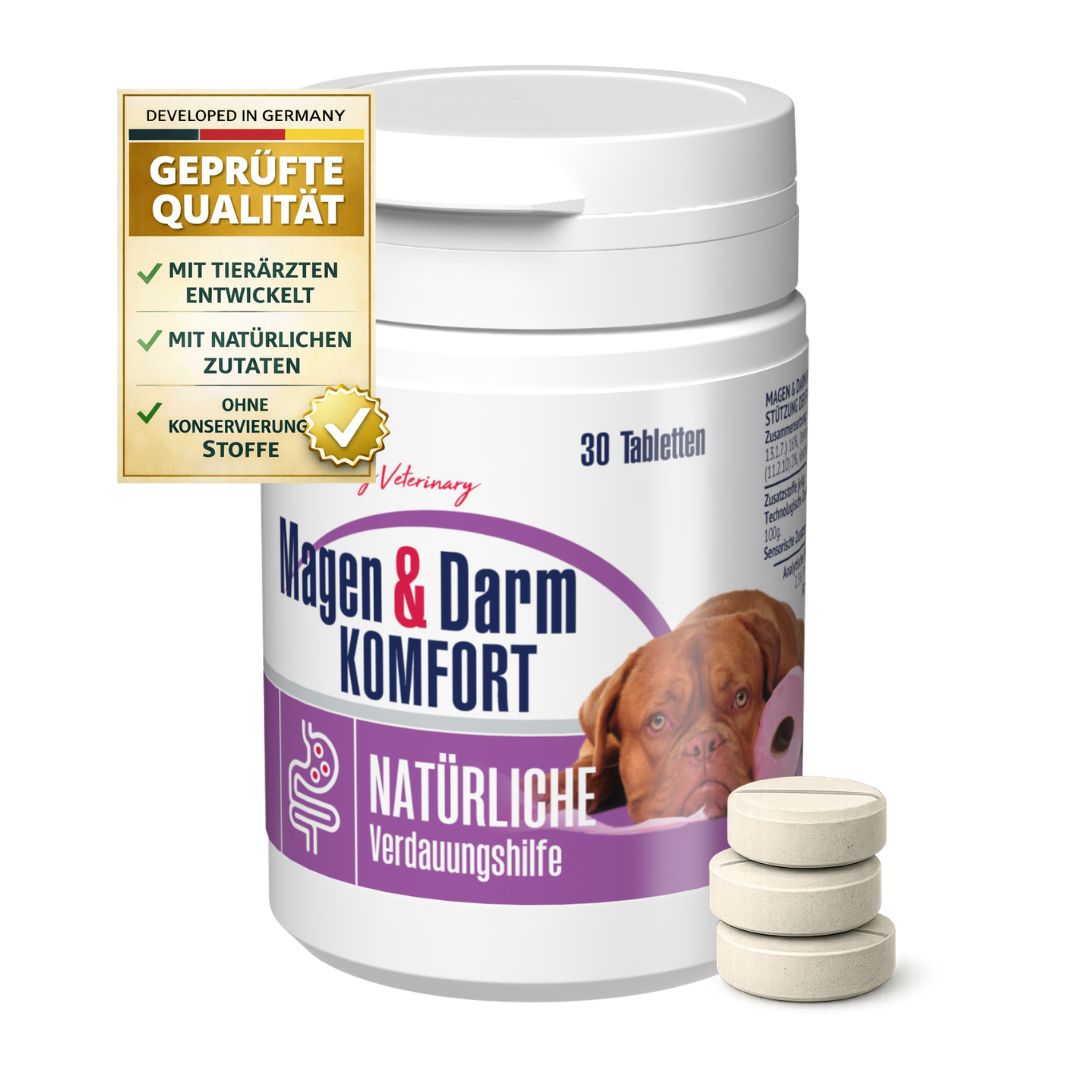 Eine Flasche mit Tabletten und drei Tabletten daneben. Text: "Magen & Darm Komfort". Text: "NATÜRLICHE Verdauungshilfe".