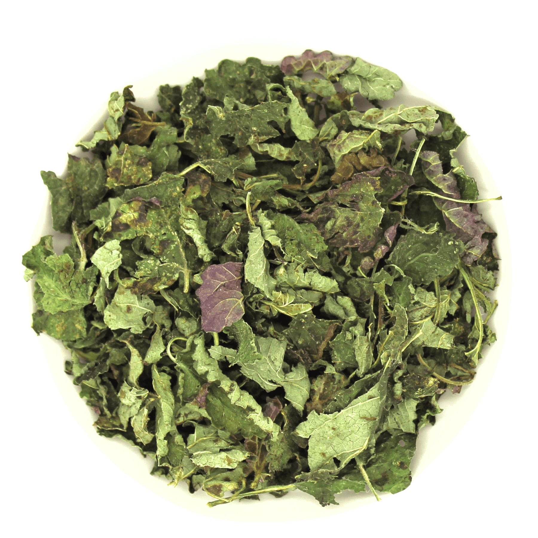 Getrocknete Zitronenmelisse-Blätter in einer weißen Schale. Blätter grün und violett, Nahaufnahme.