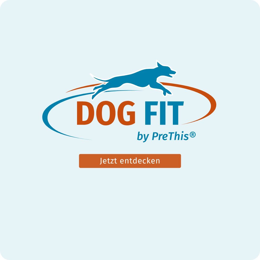 Logo: DOG FIT by PreThis®. Text: Jetzt entdecken. Orangefarbene Schaltfläche.
