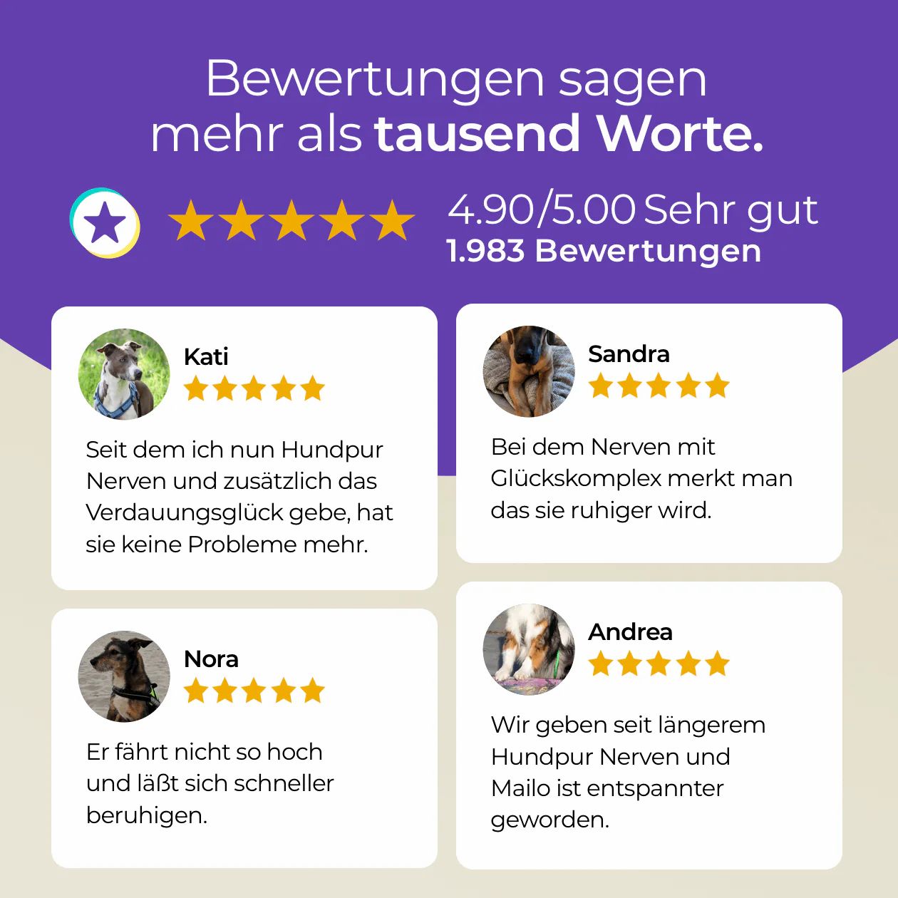 Bewertungen von Kunden. Sternebewertung: 4.90/5.00. Zitate von Kunden: Kati, Sandra, Nora, Andrea. Fotos von Hunden.