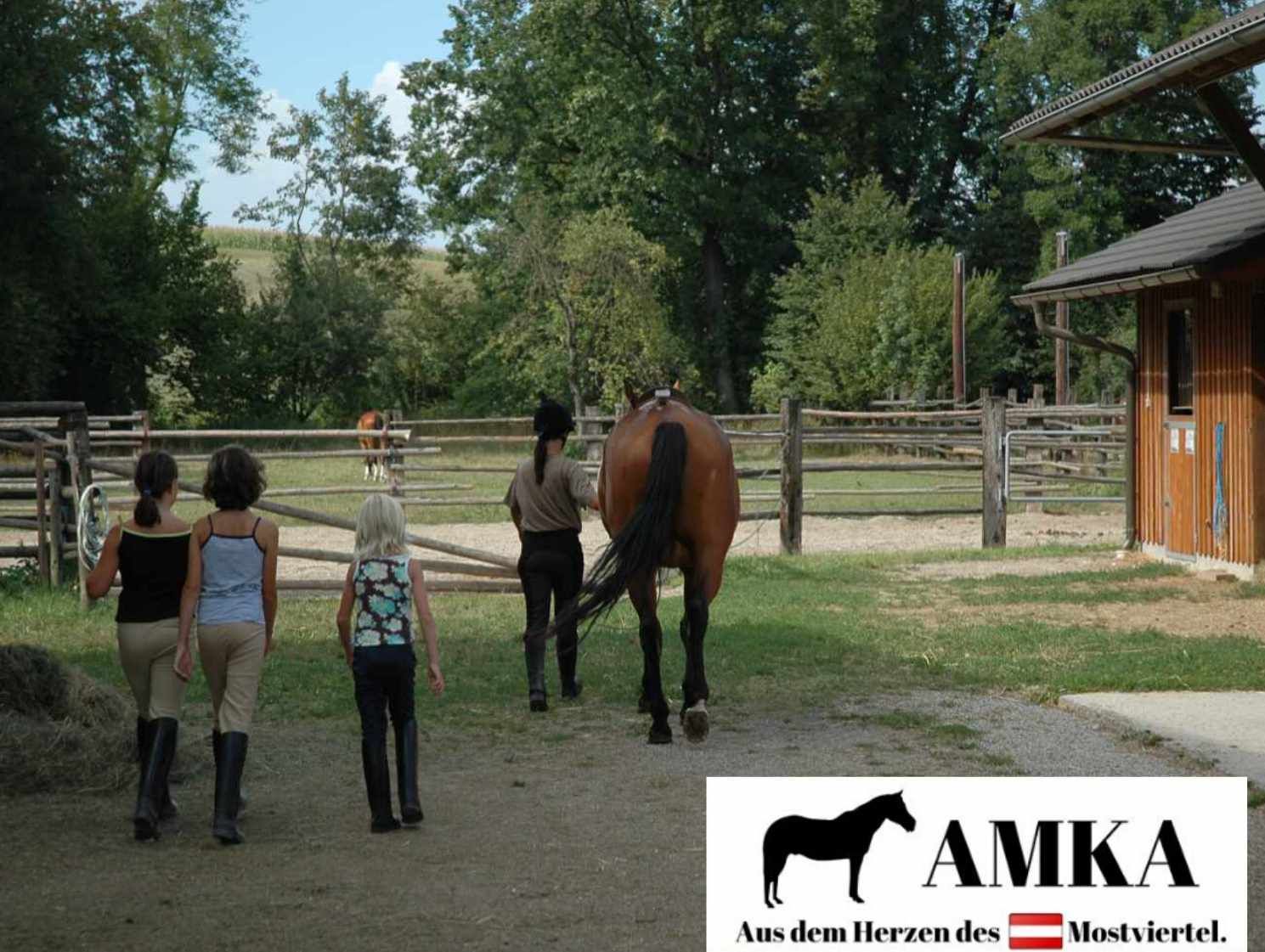 Drei Mädchen gehen mit einem Pferd auf einem Reitplatz. AMKA Logo und Text: Aus dem Herzen des Mostviertel.