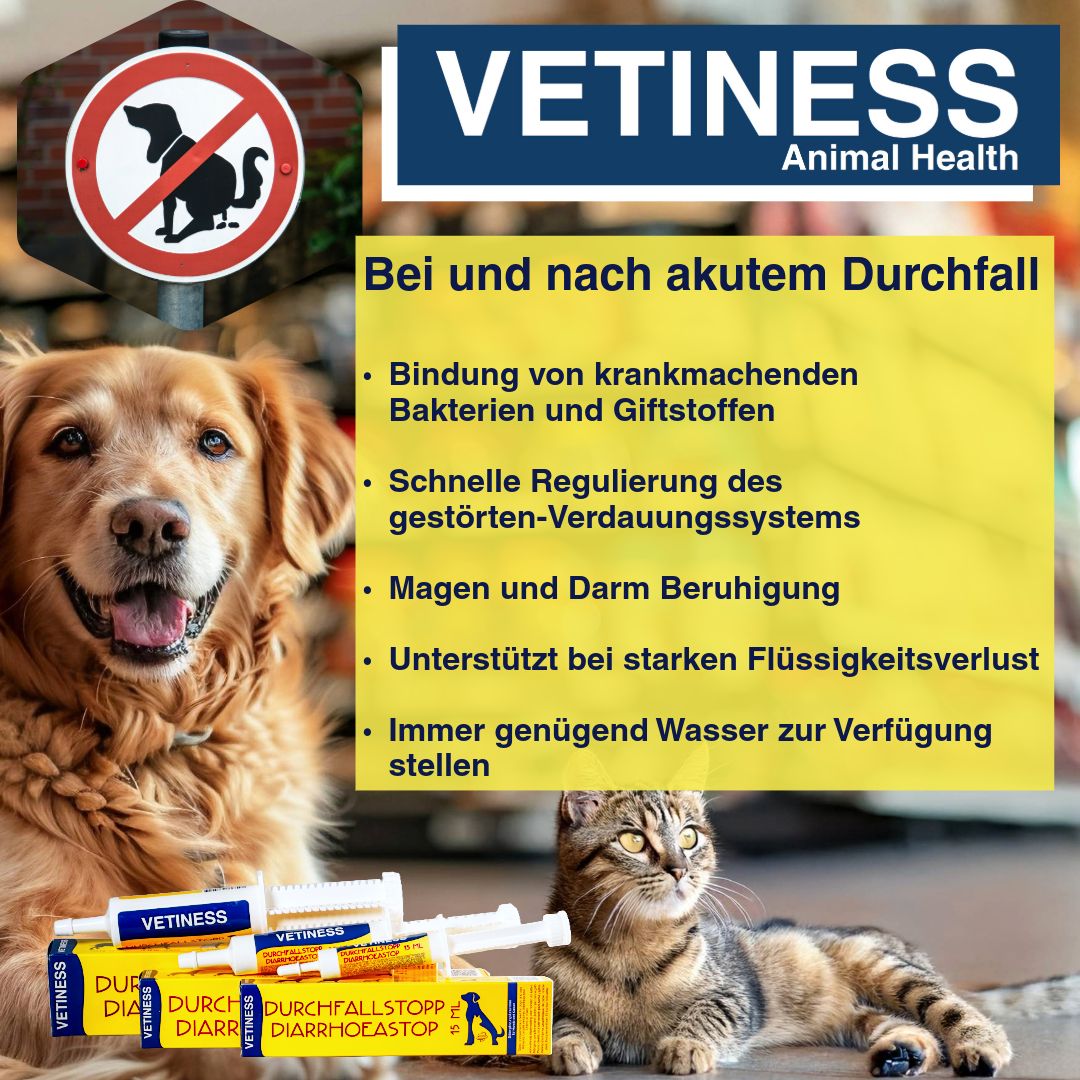 Produktabbildung mit Hund und Katze. Text: Bei und nach akutem Durchfall. Vetiness-Logo und Produktverpackung.