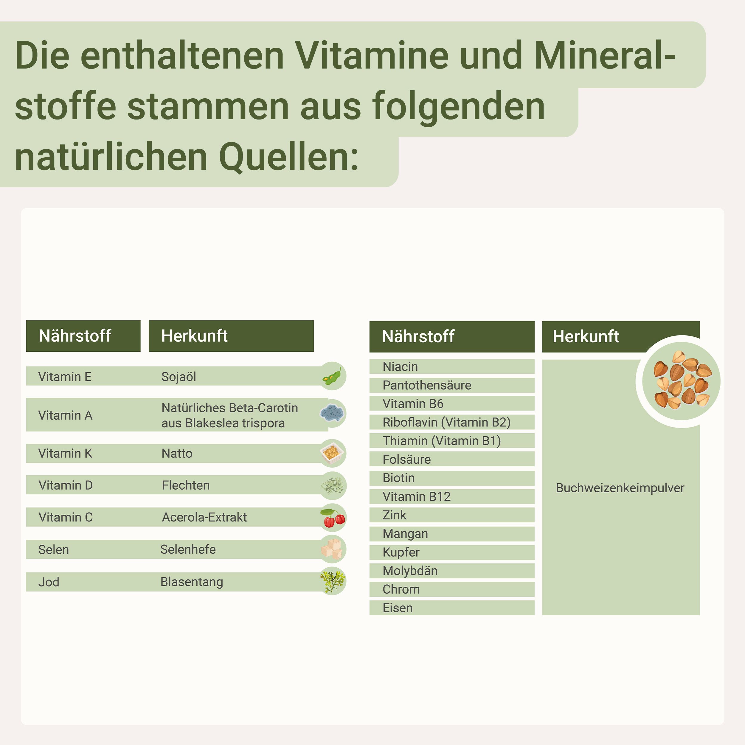 Tabelle mit Nährstoffen und deren natürlichen Ursprüngen, z.B. Vitamin E aus Soja.