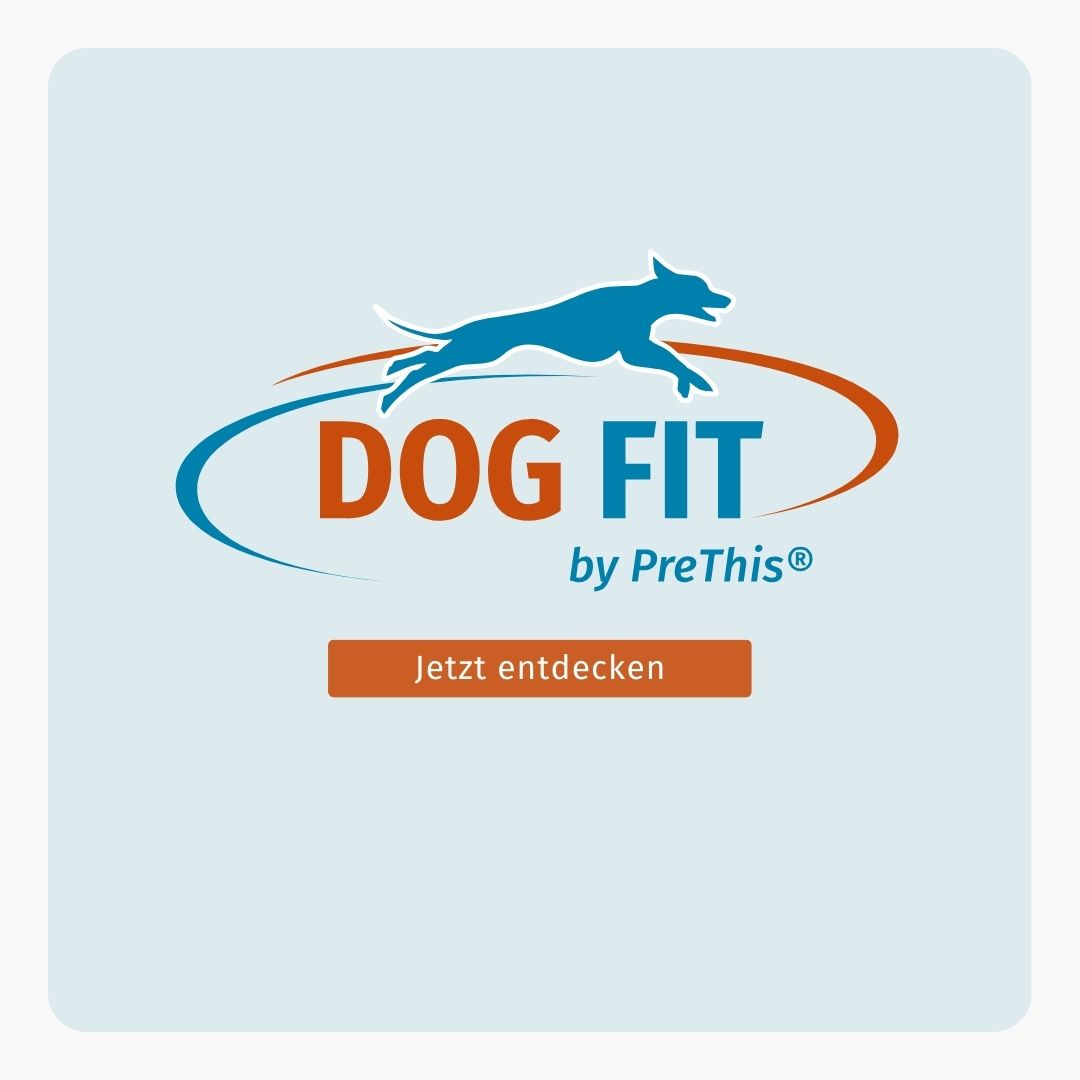DOG FIT by PreThis® CARE senior » Ergänzung für ältere Hunde (medium)
