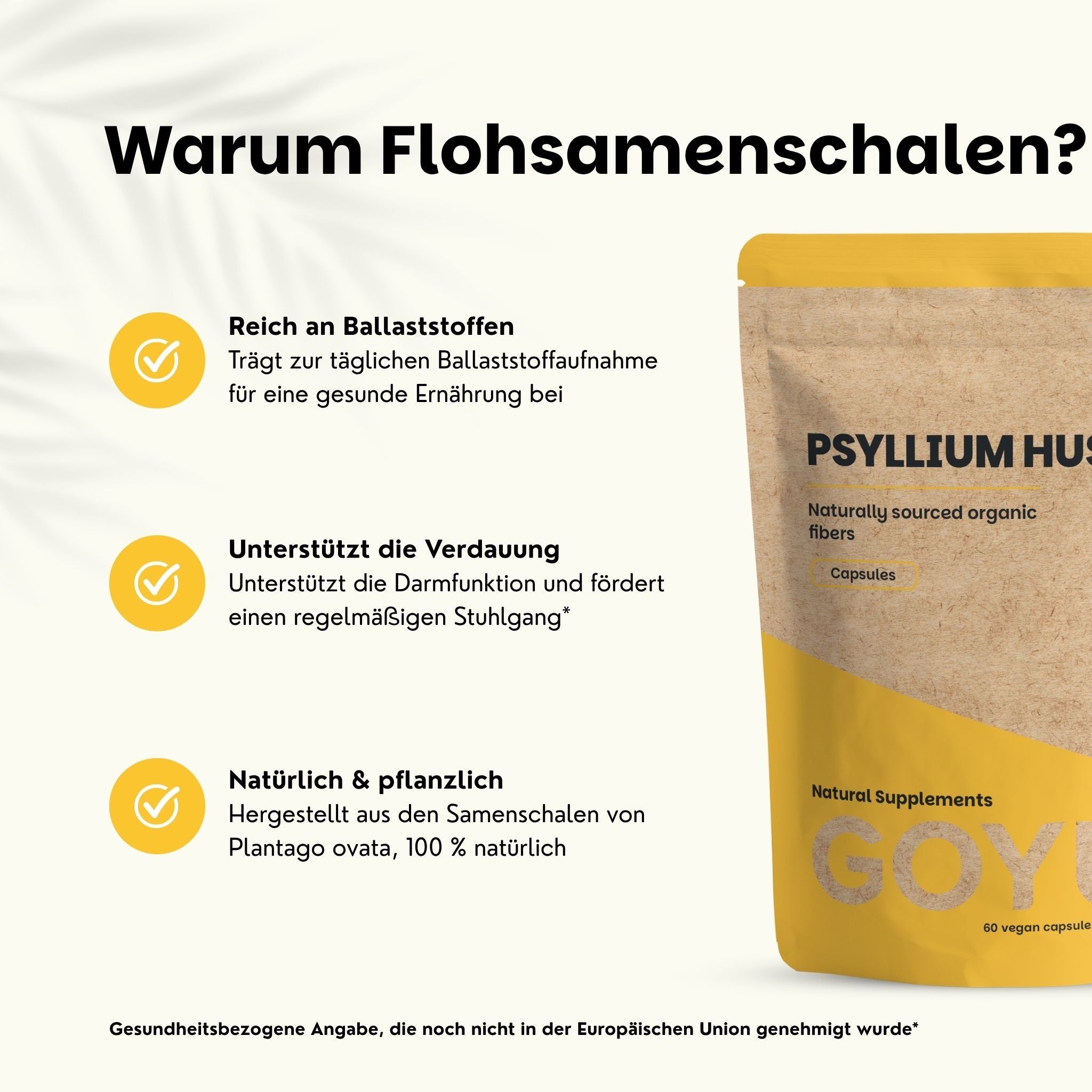 Beutel mit Psyllium Husk Kapseln, natürlich gewonnen, für eine gesunde Ernährung.