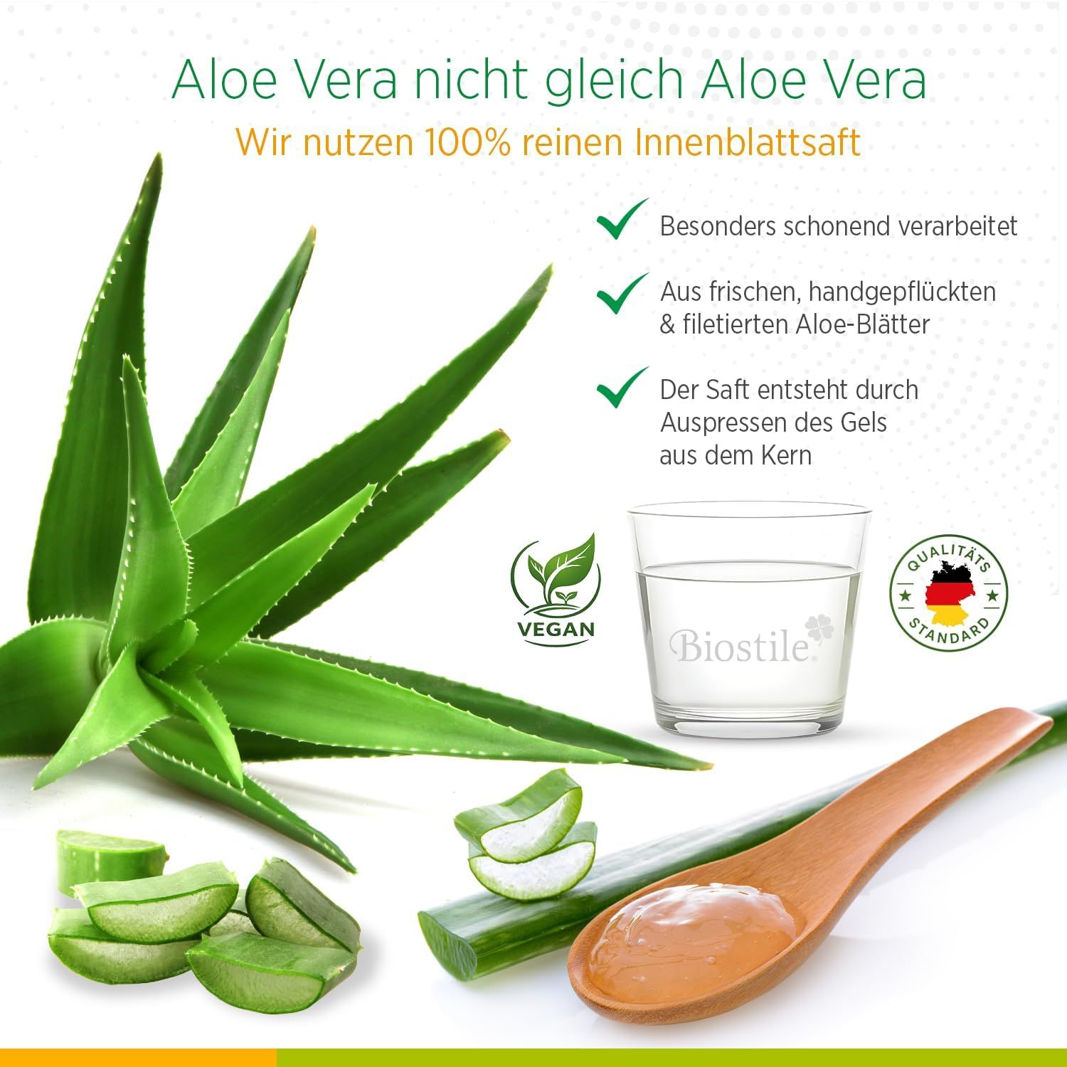 Frische Aloe Vera Pflanze und Scheiben, Biostile Saft.