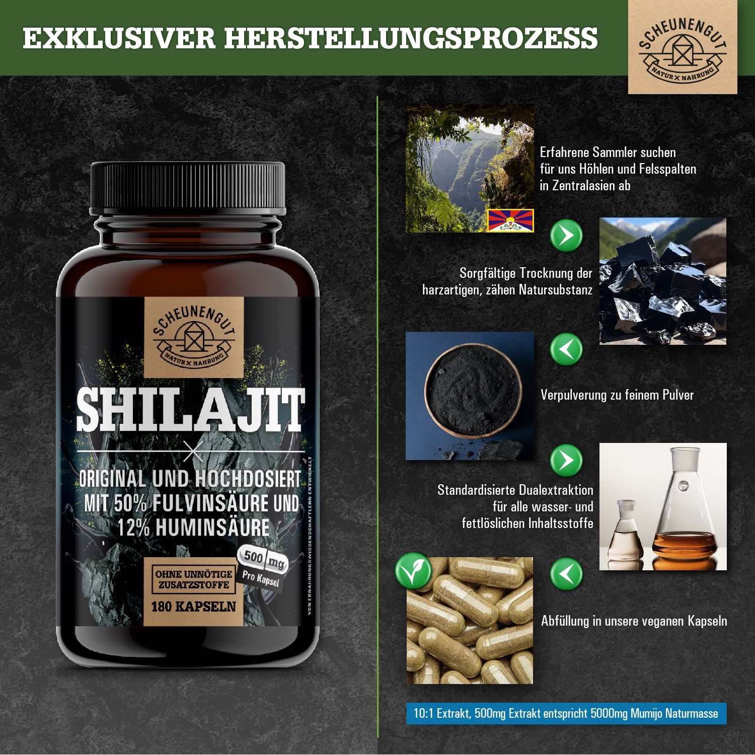 Flasche Shilajit-Kapseln neben Darstellungen des Herstellungsprozesses: Bergszene, Harz, Pulver, Kolben, Kapseln.